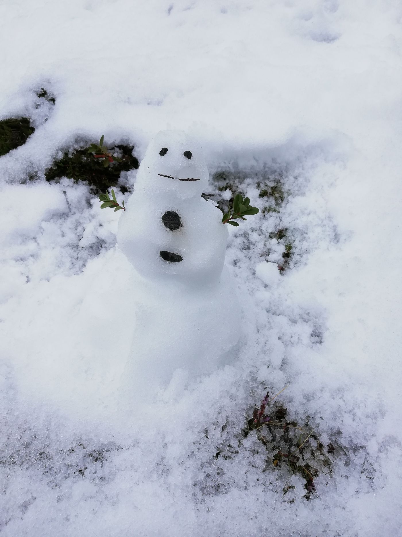 Schneemann