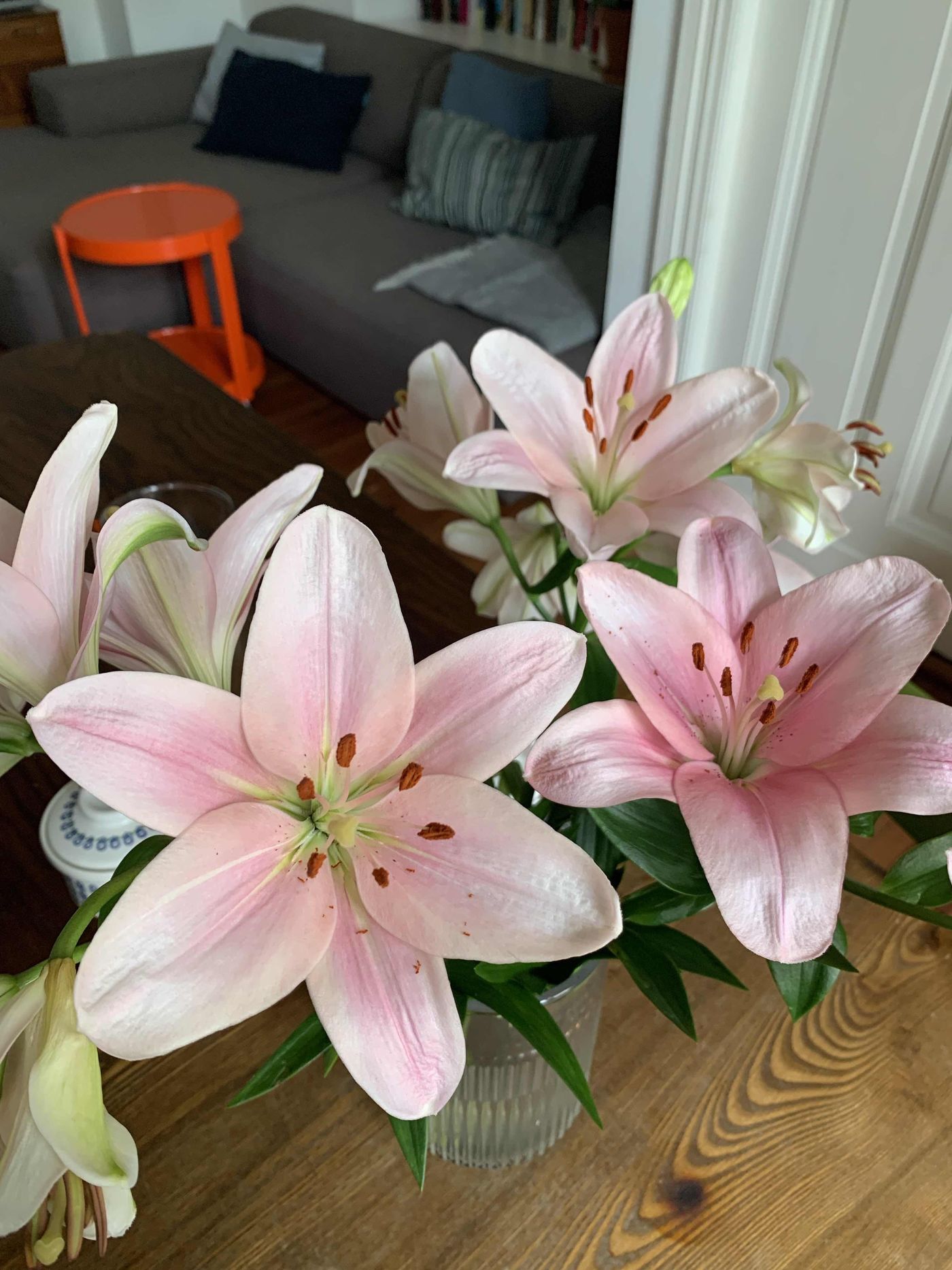 Lilien