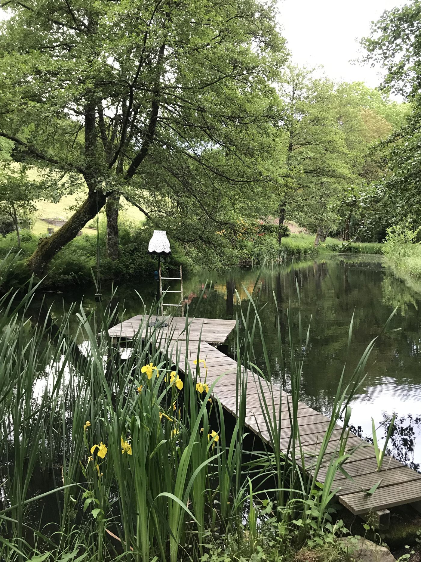 Gartenteich Anlegen Gestalten Die Schonsten Ideen Seite 2