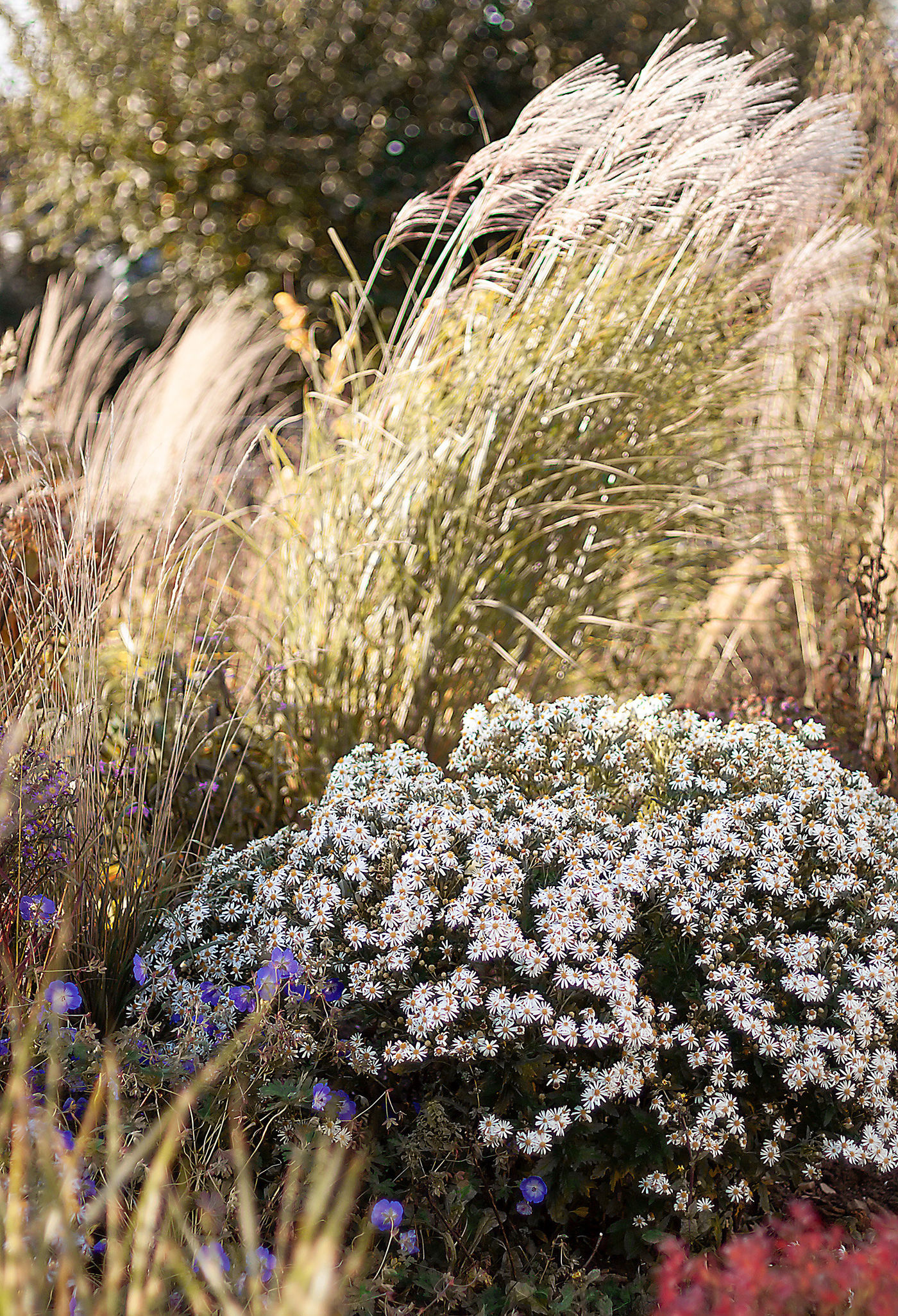 Herbstgarten