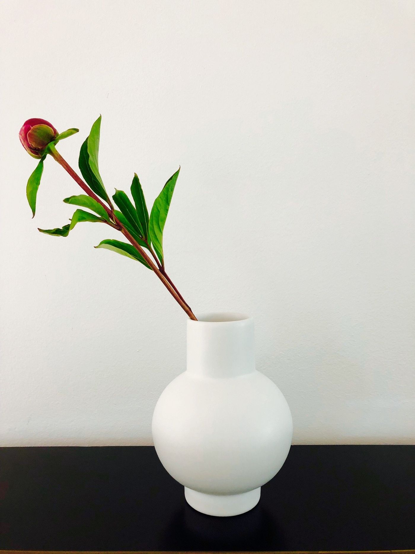 Vase Pfingstrose