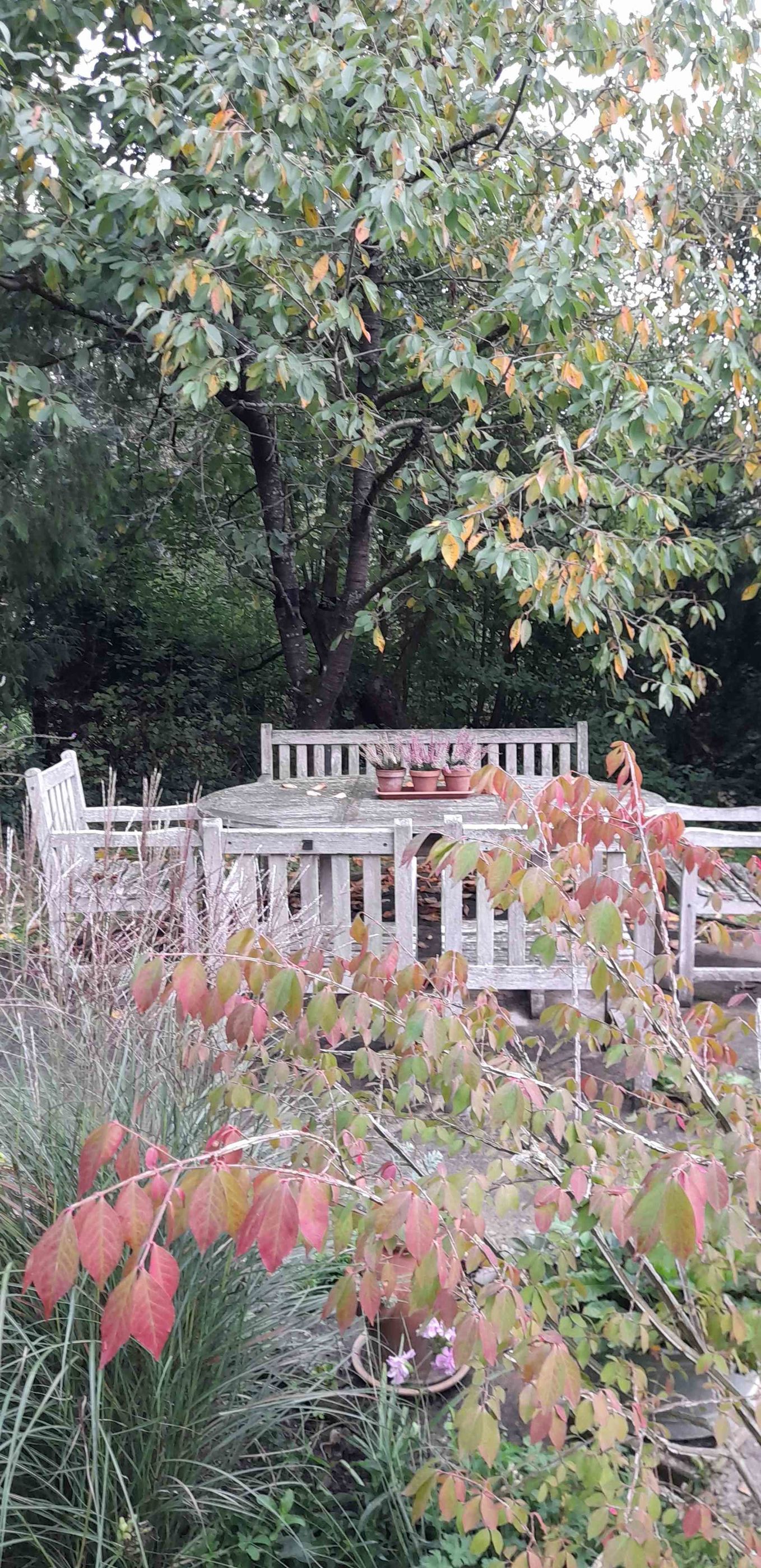 Herbstgarten