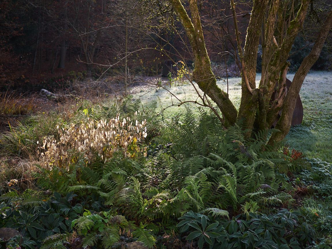 Herbstgarten