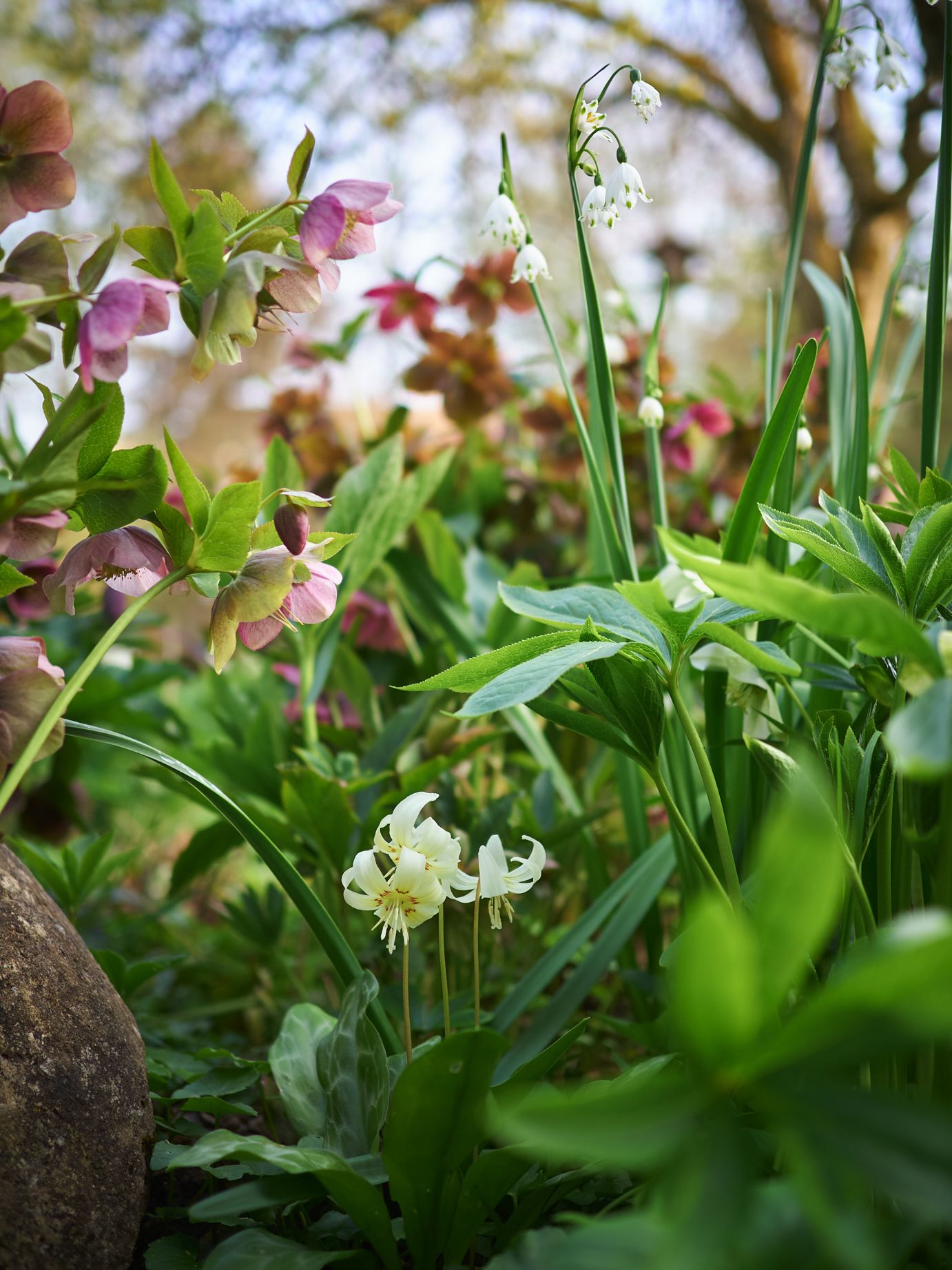 Naturgarten