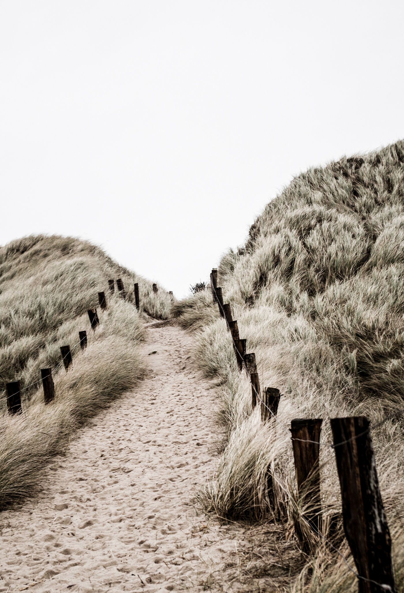 Sylt