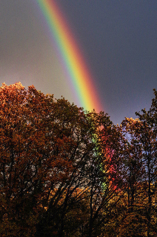 Regenbogen