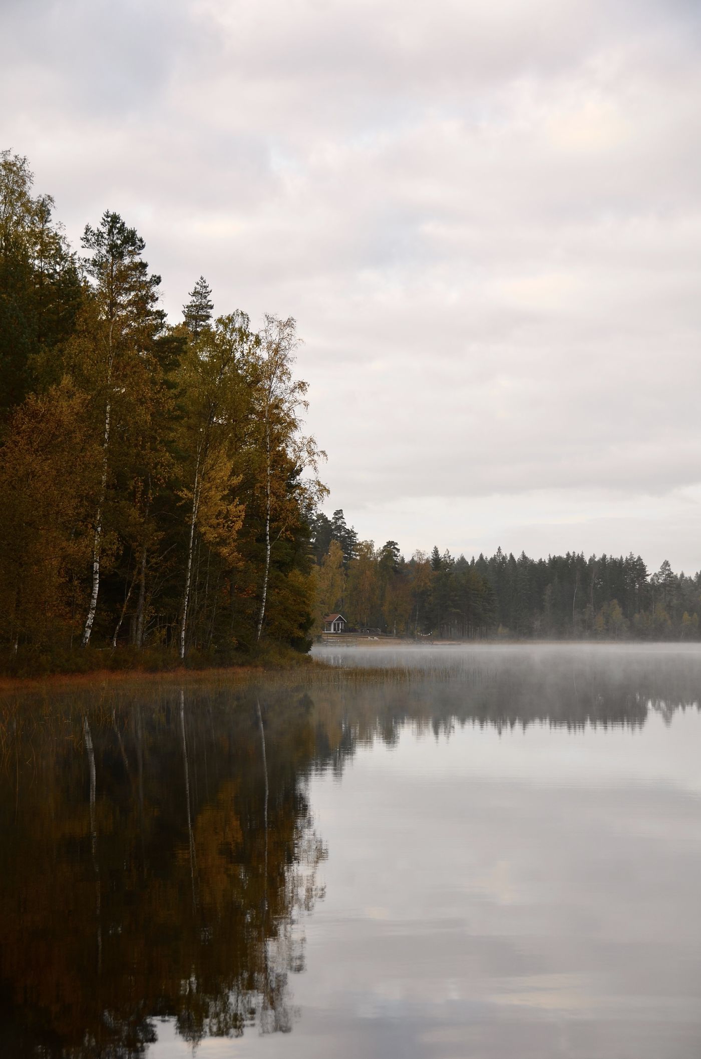 Herbstflüstern…🧡