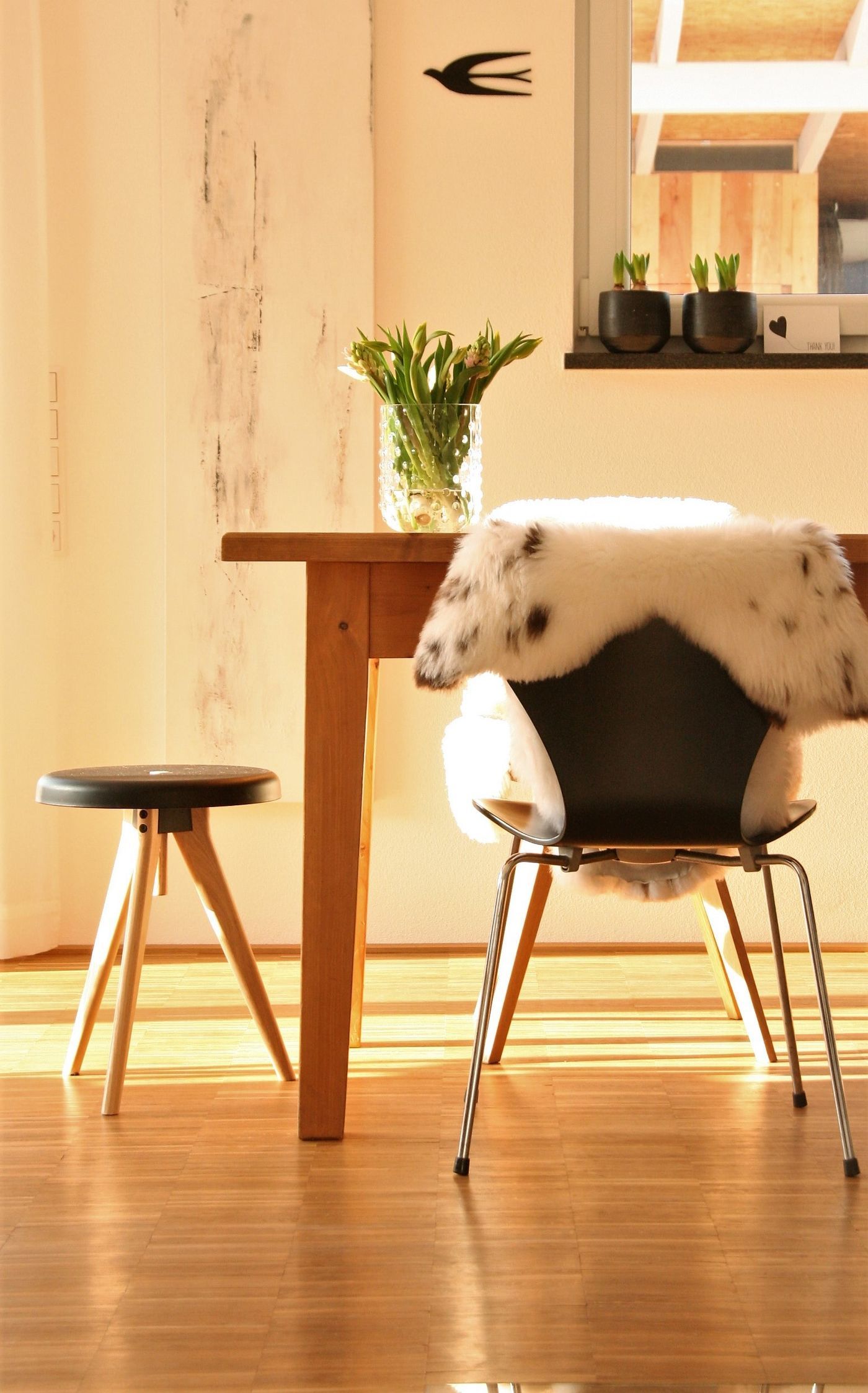 muuto around