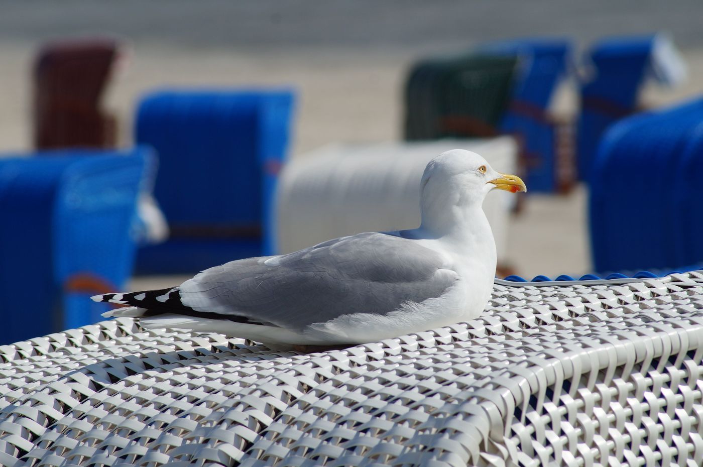 Strandkorb