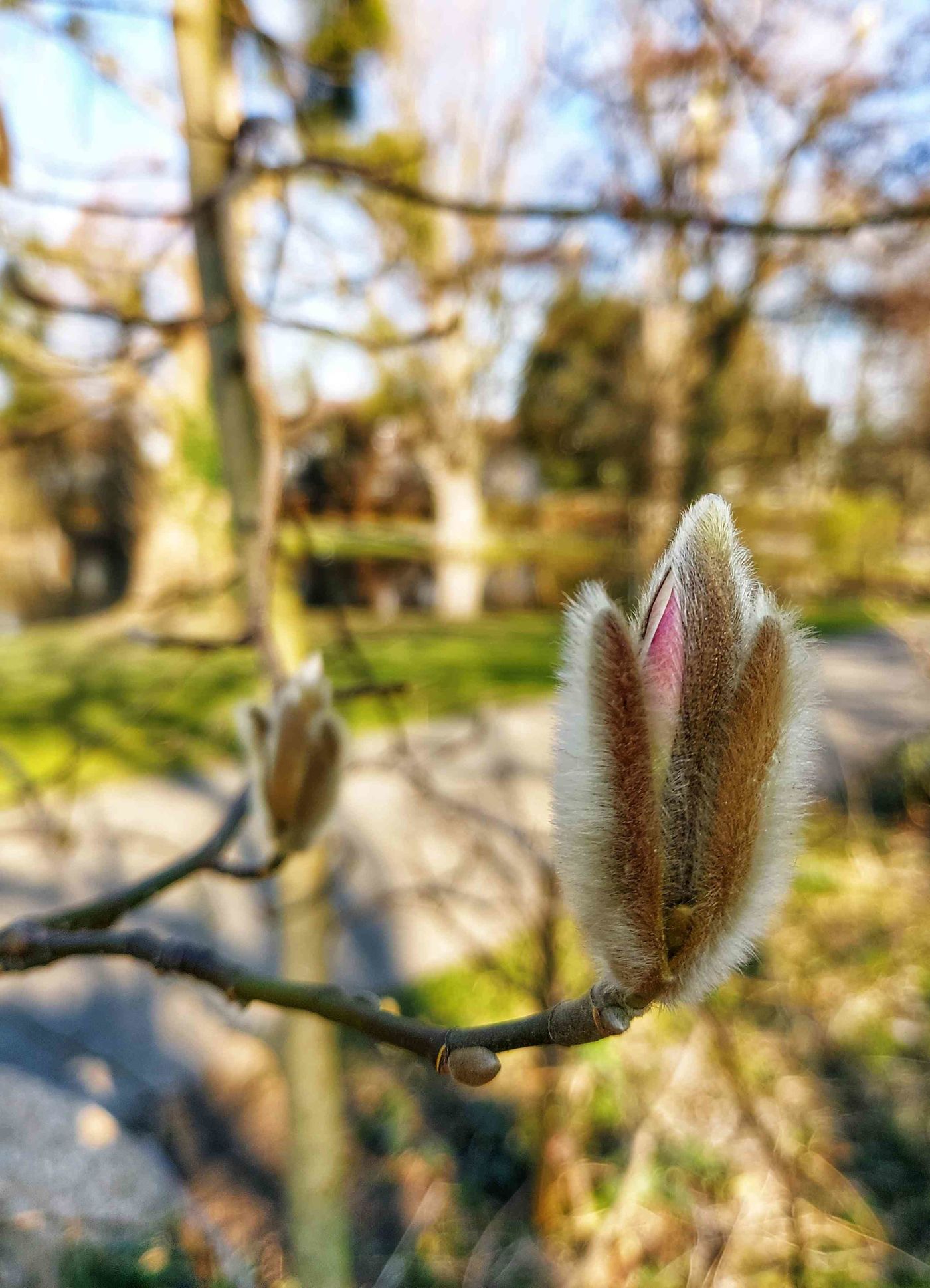 Frühling