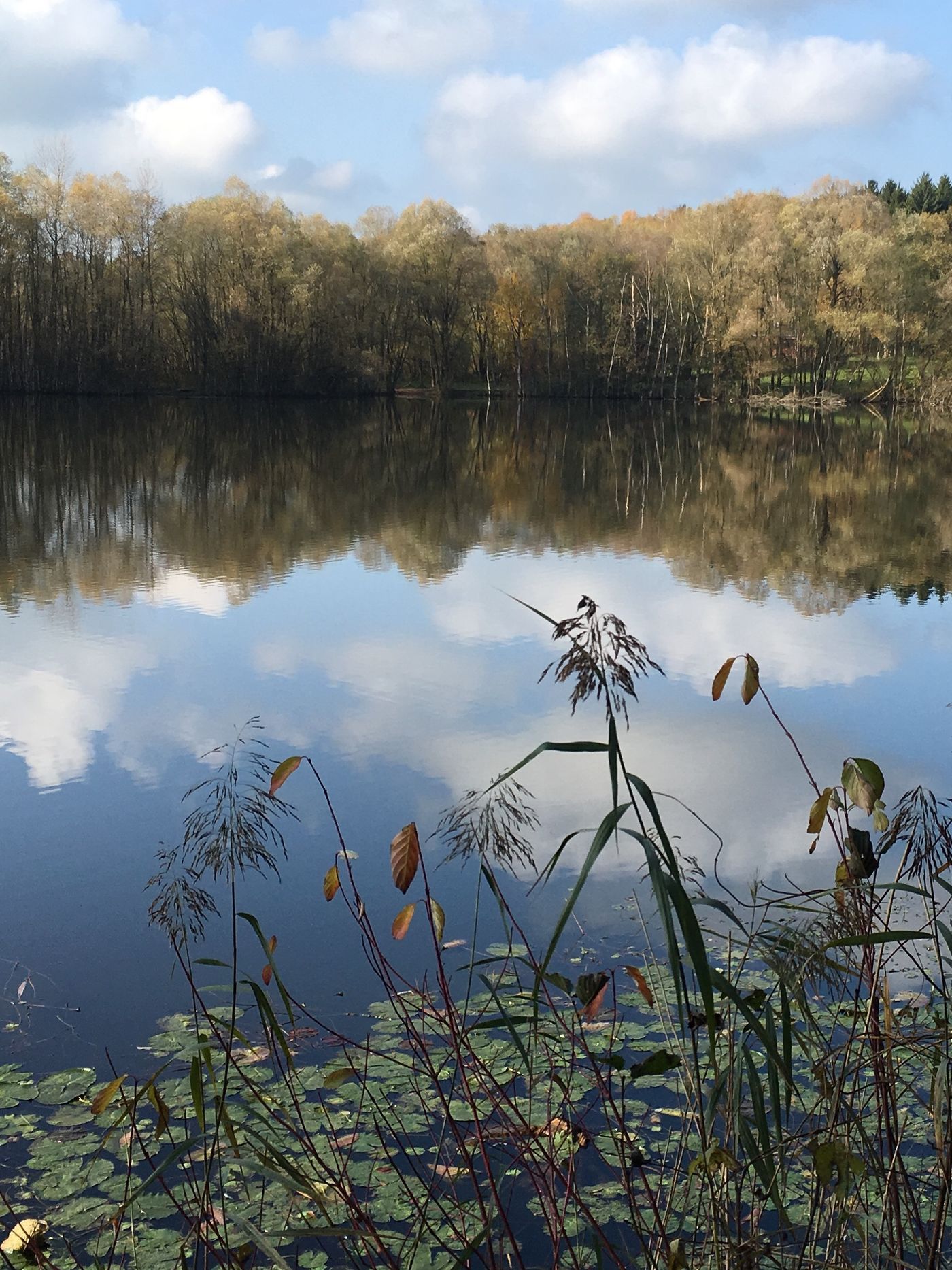 Traumwetter