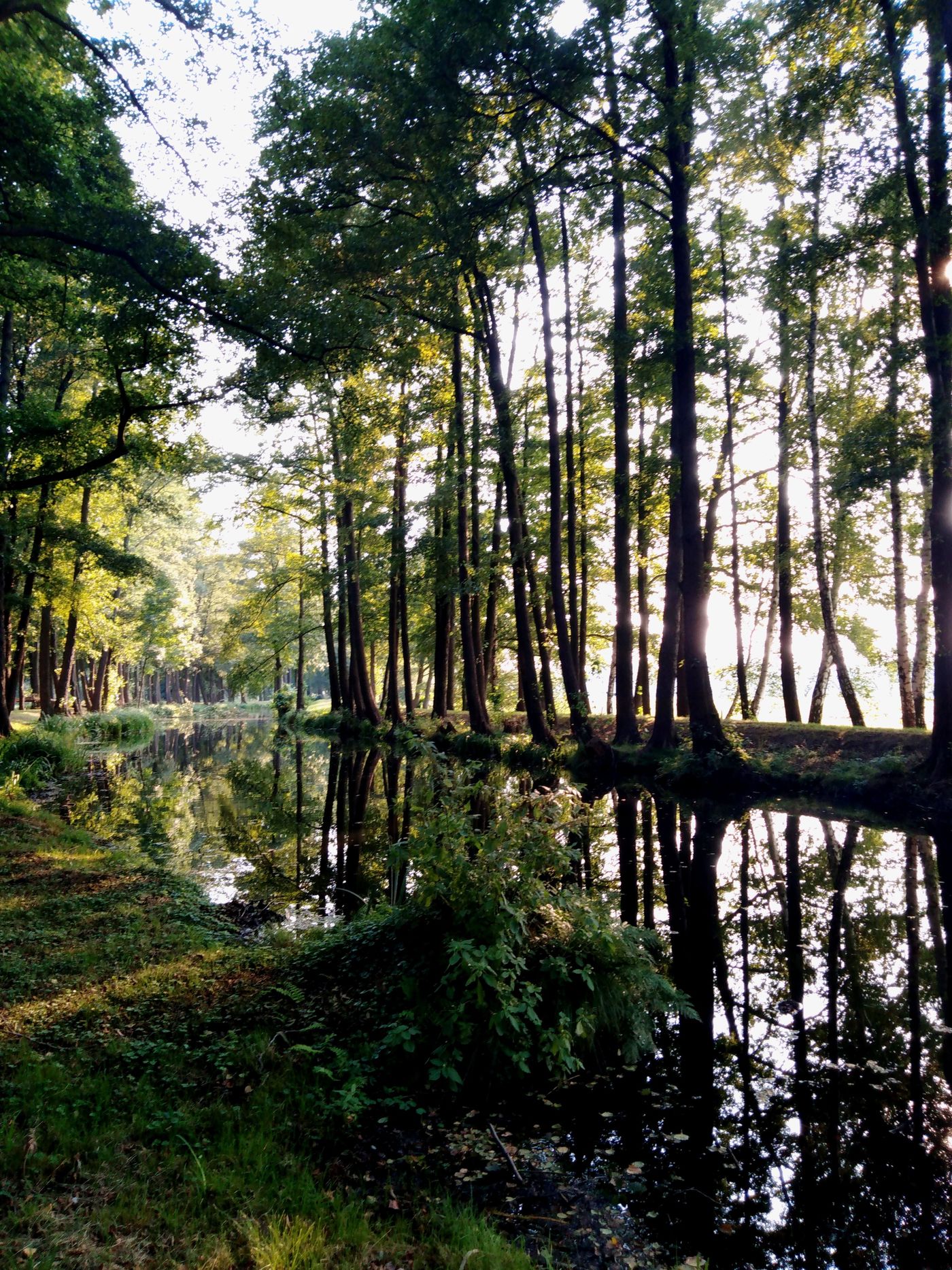 Spreewald