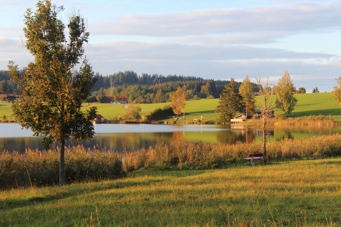 Abendspaziergang