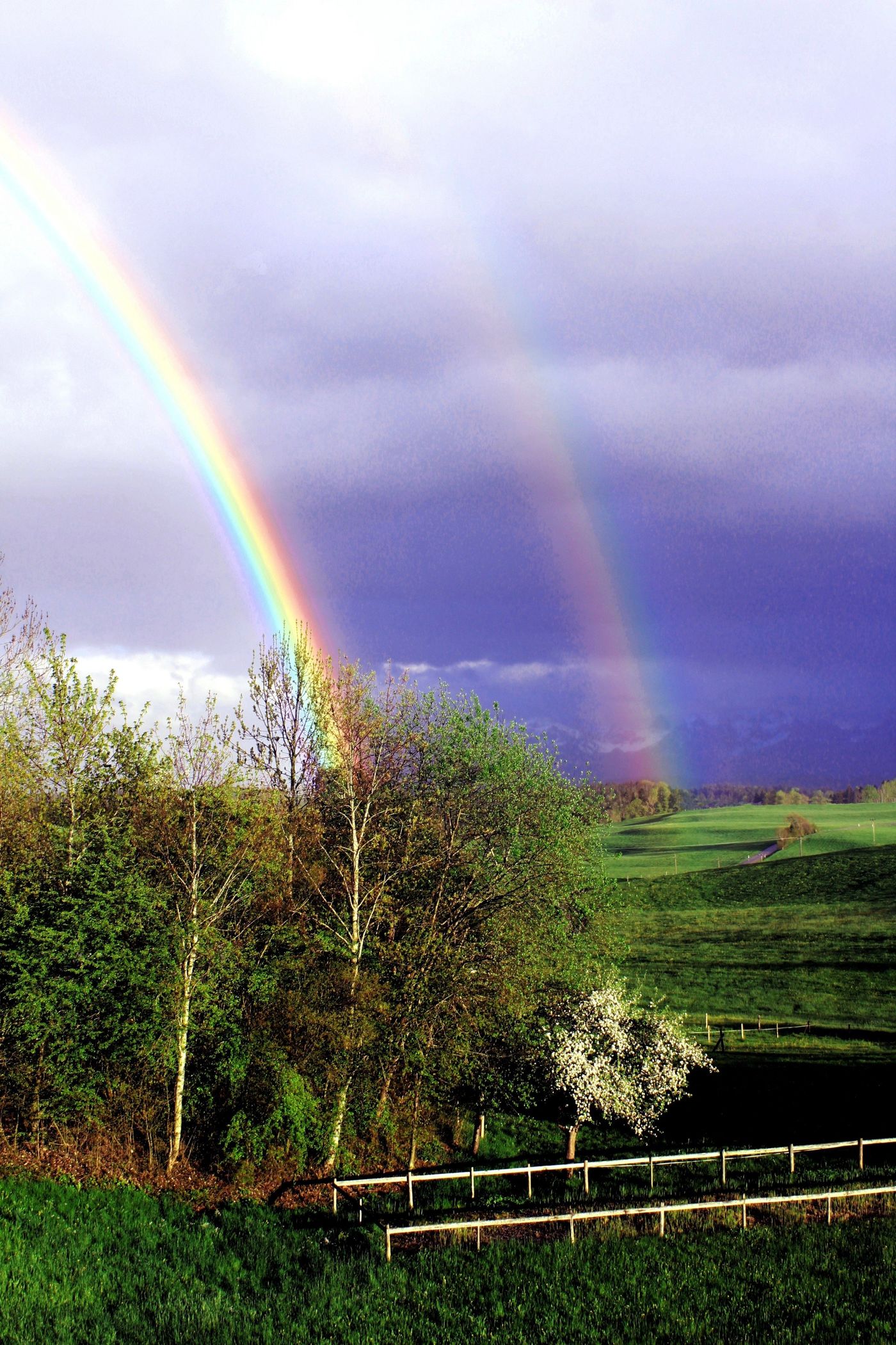 Regenbogen