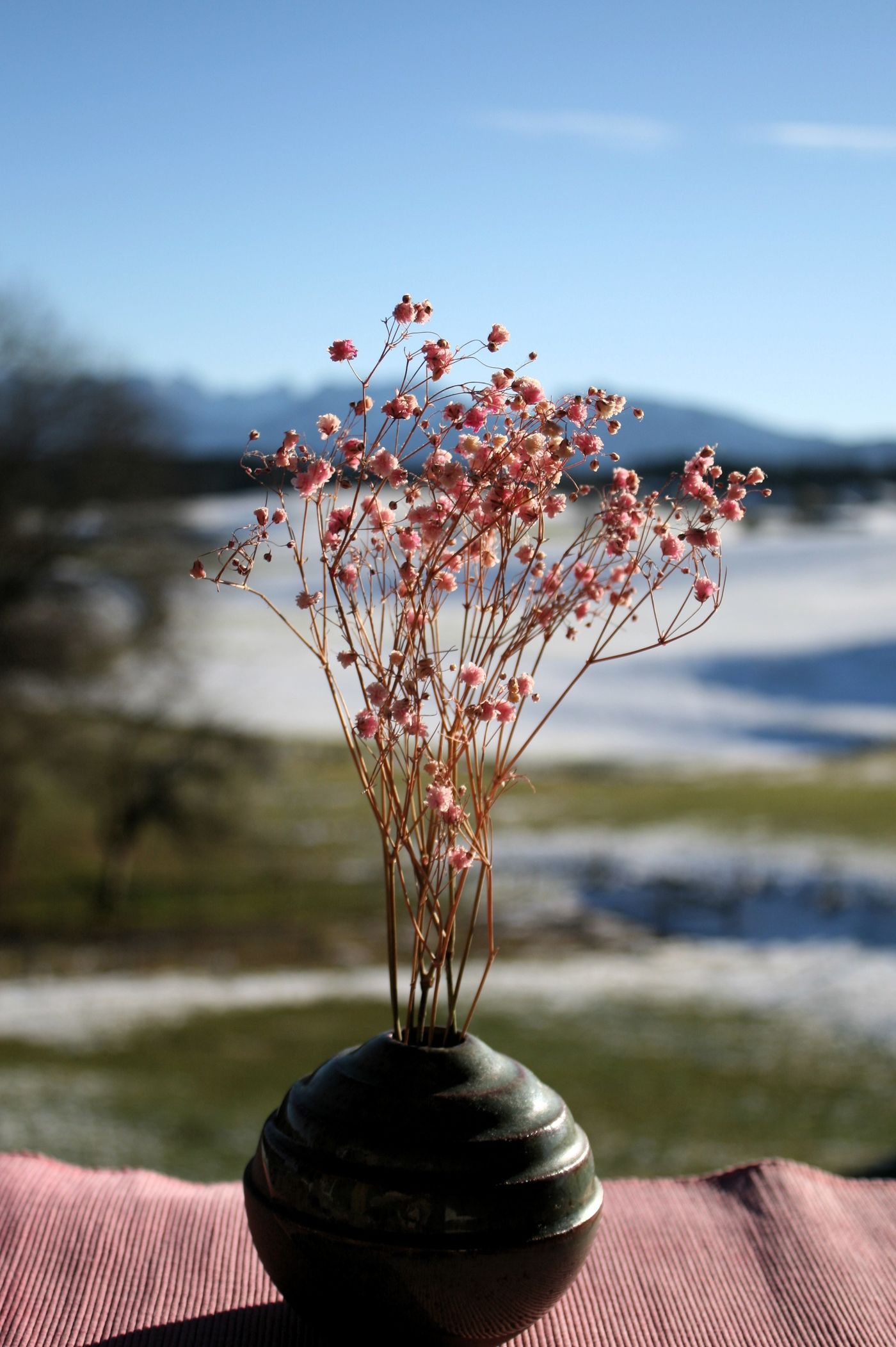 Trockenblumen