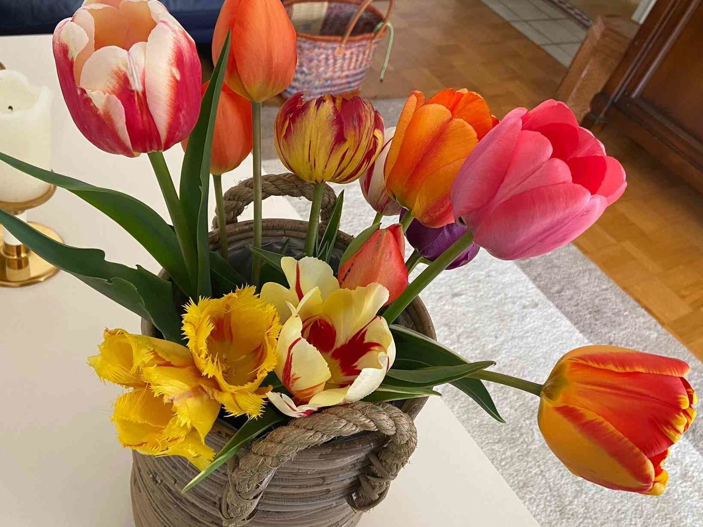 Tulpen vom Feld