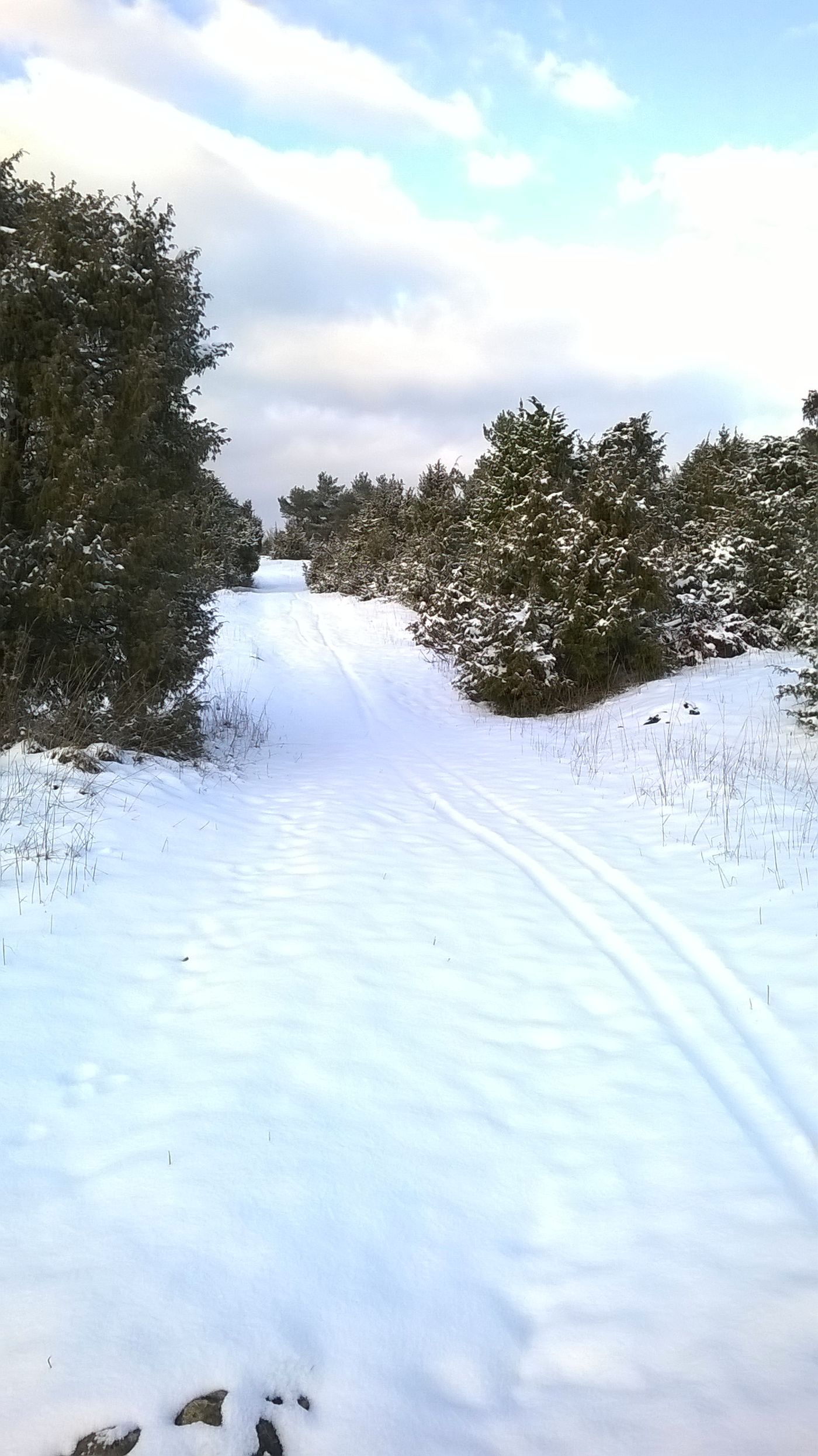 Winterspaziergang