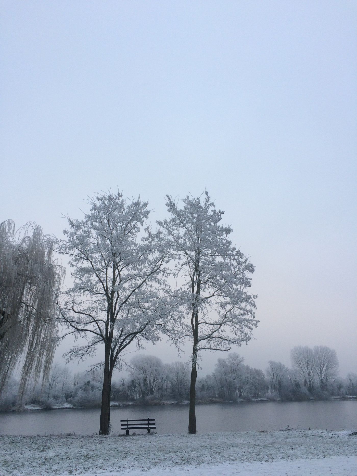 Waldsee