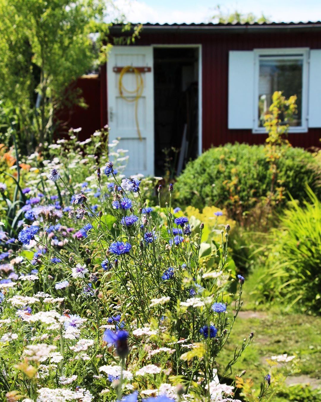 Kleiner Garten