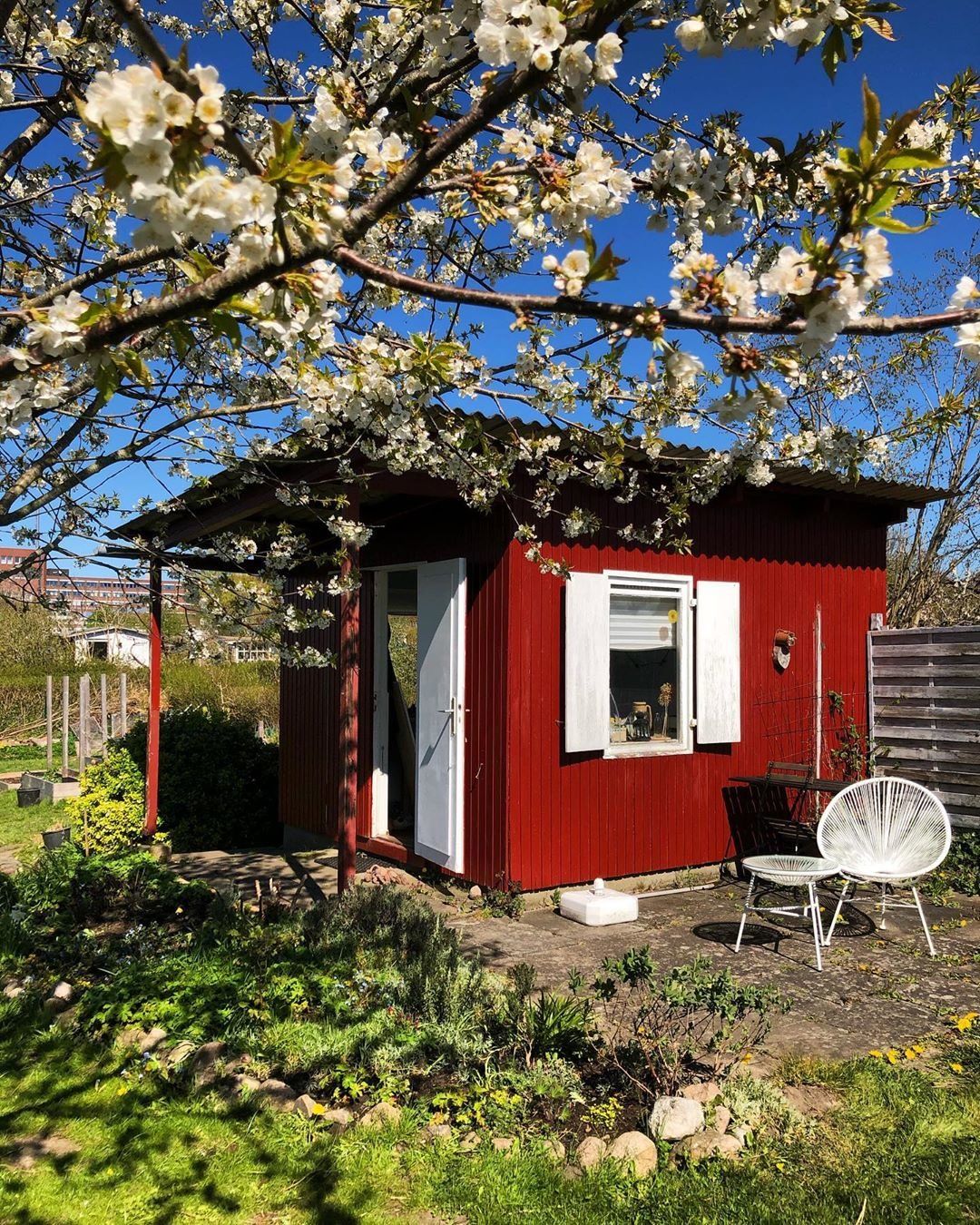 Schrebergarten Kleingarten Ideen Zum Anlegen Gestalten