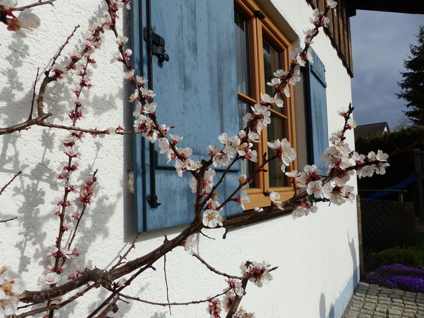 Garten im April