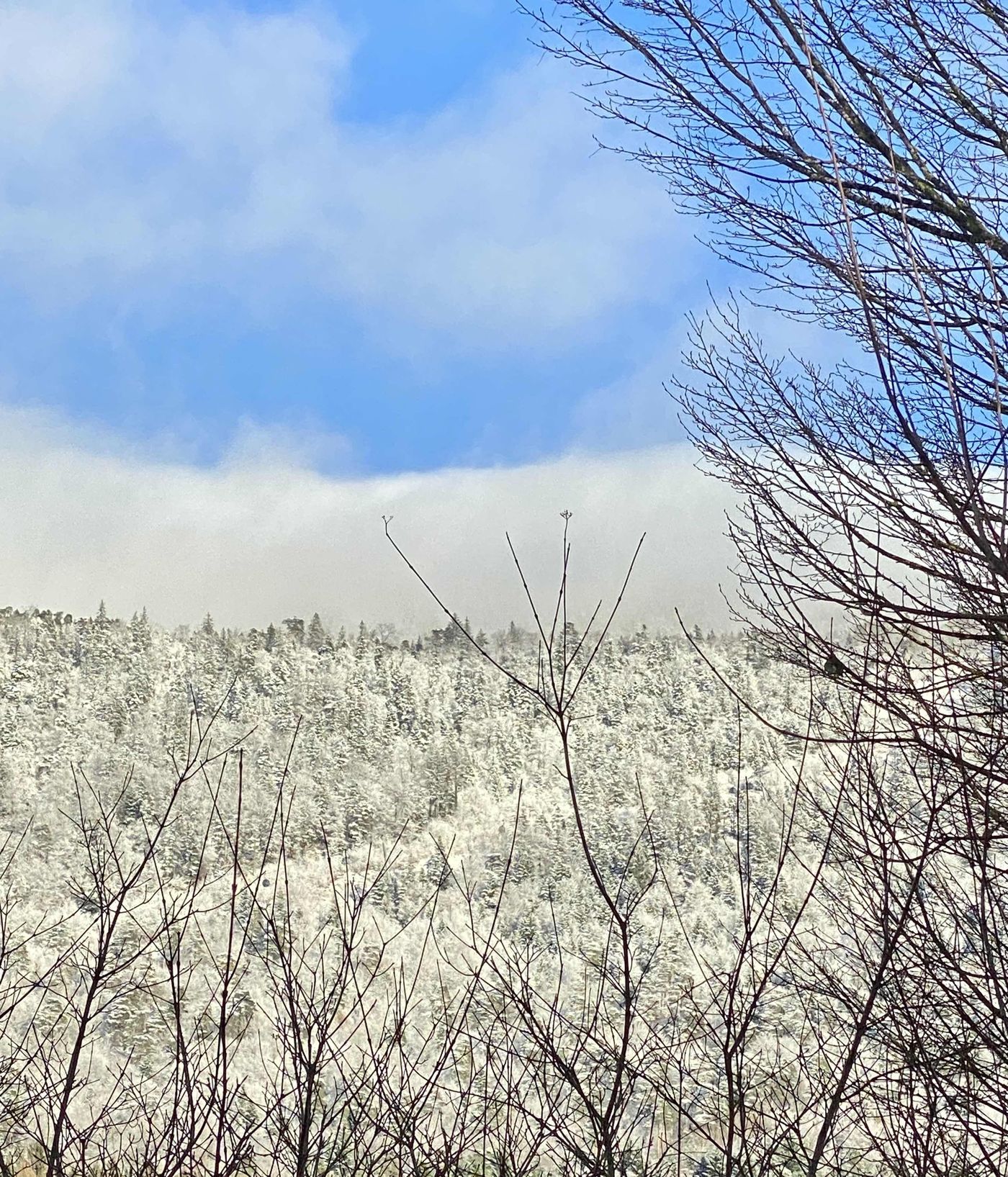 Winterlandschaft