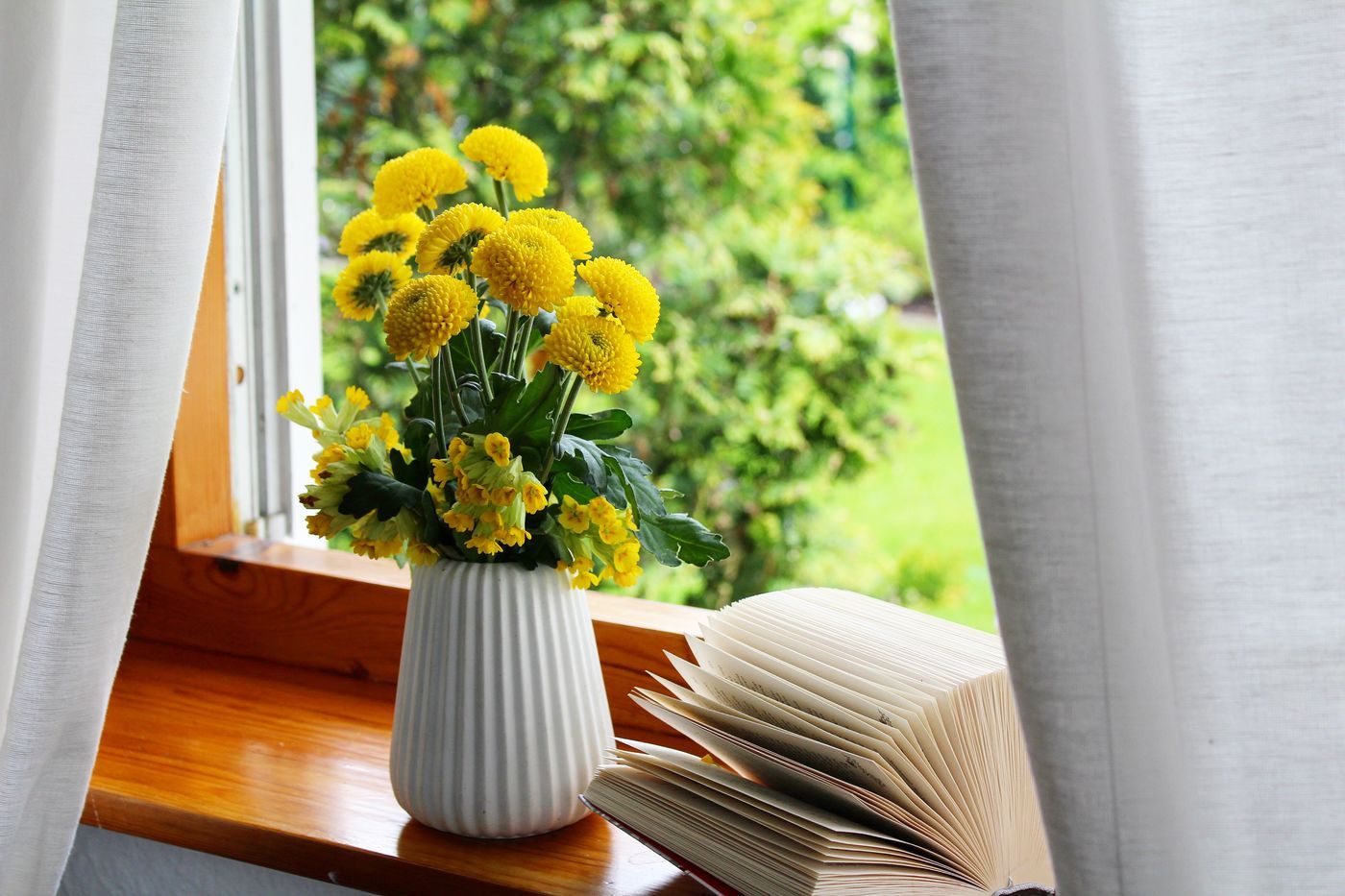 Blumen am Fenster