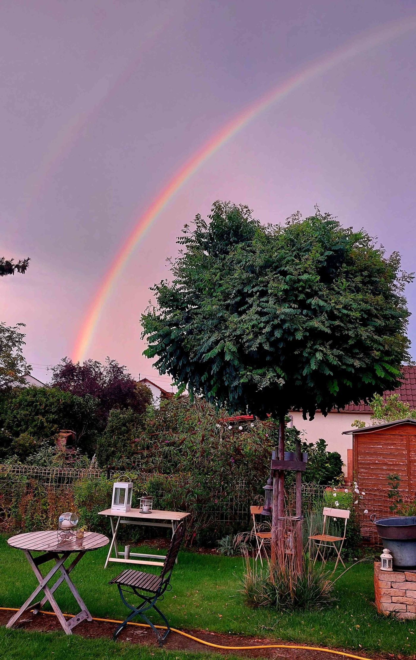 Regenbogen