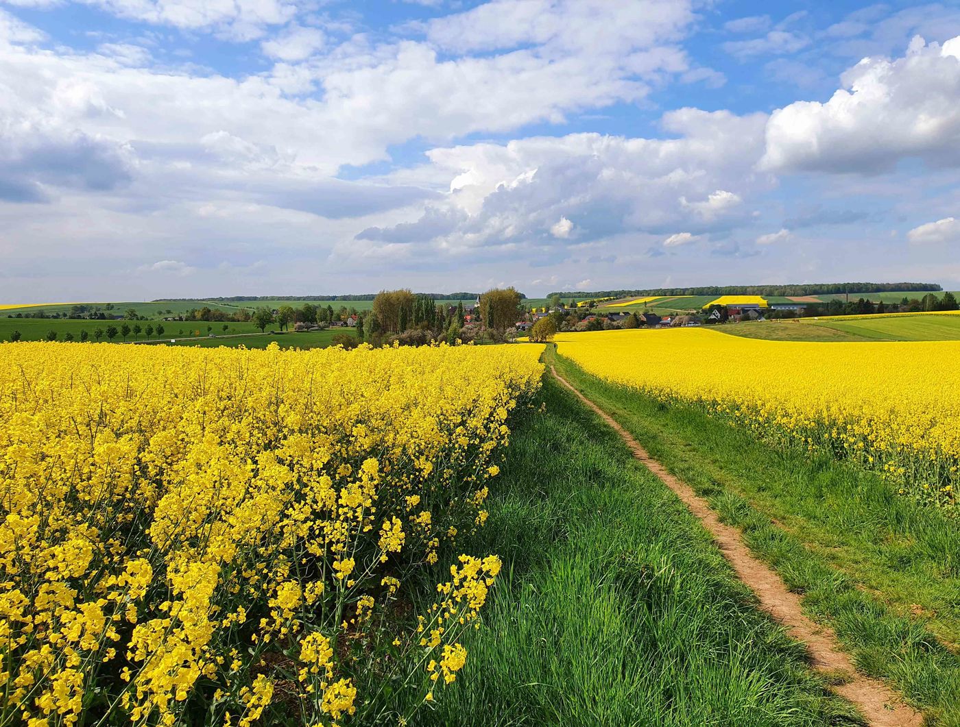 Landschaft