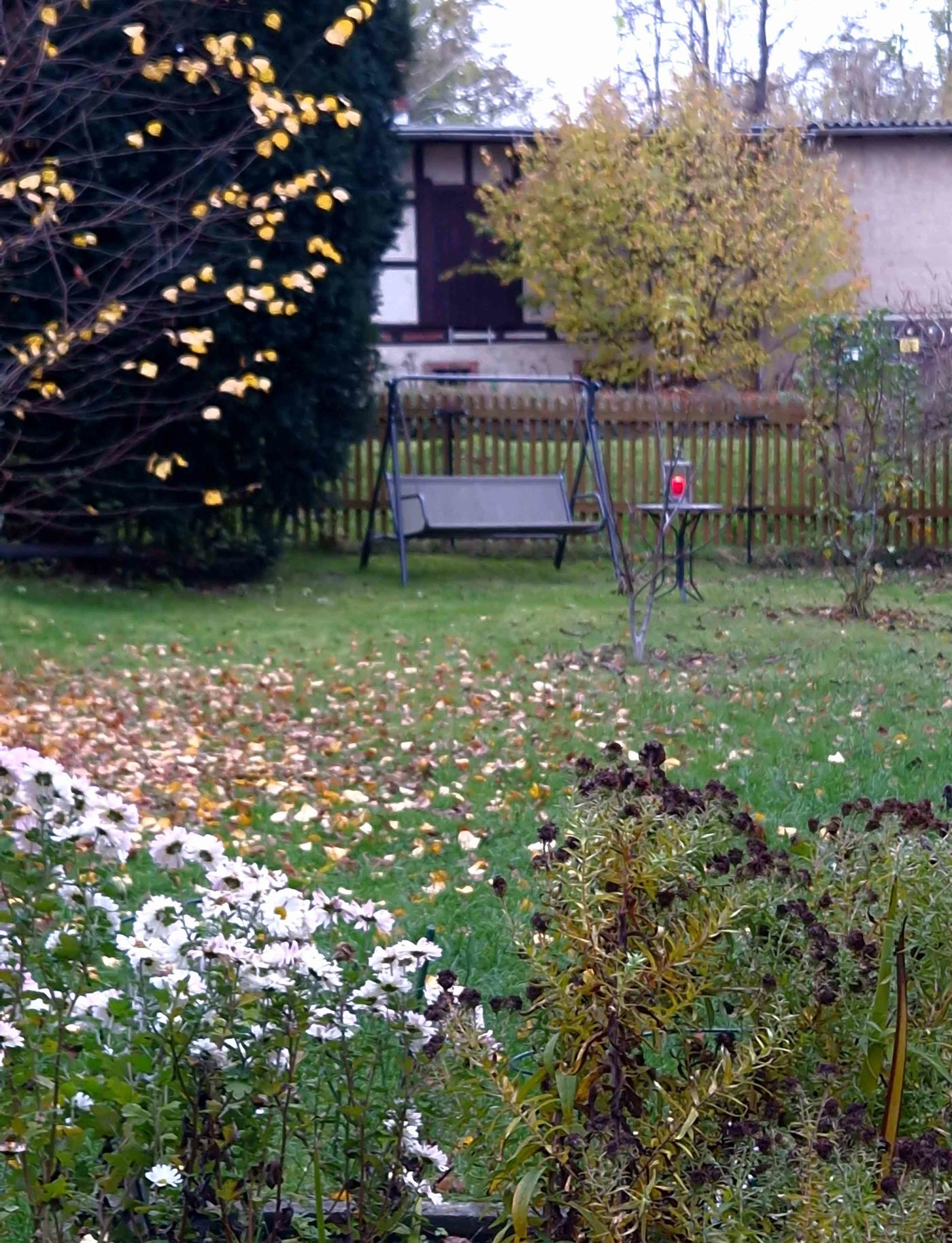 Herbstgarten