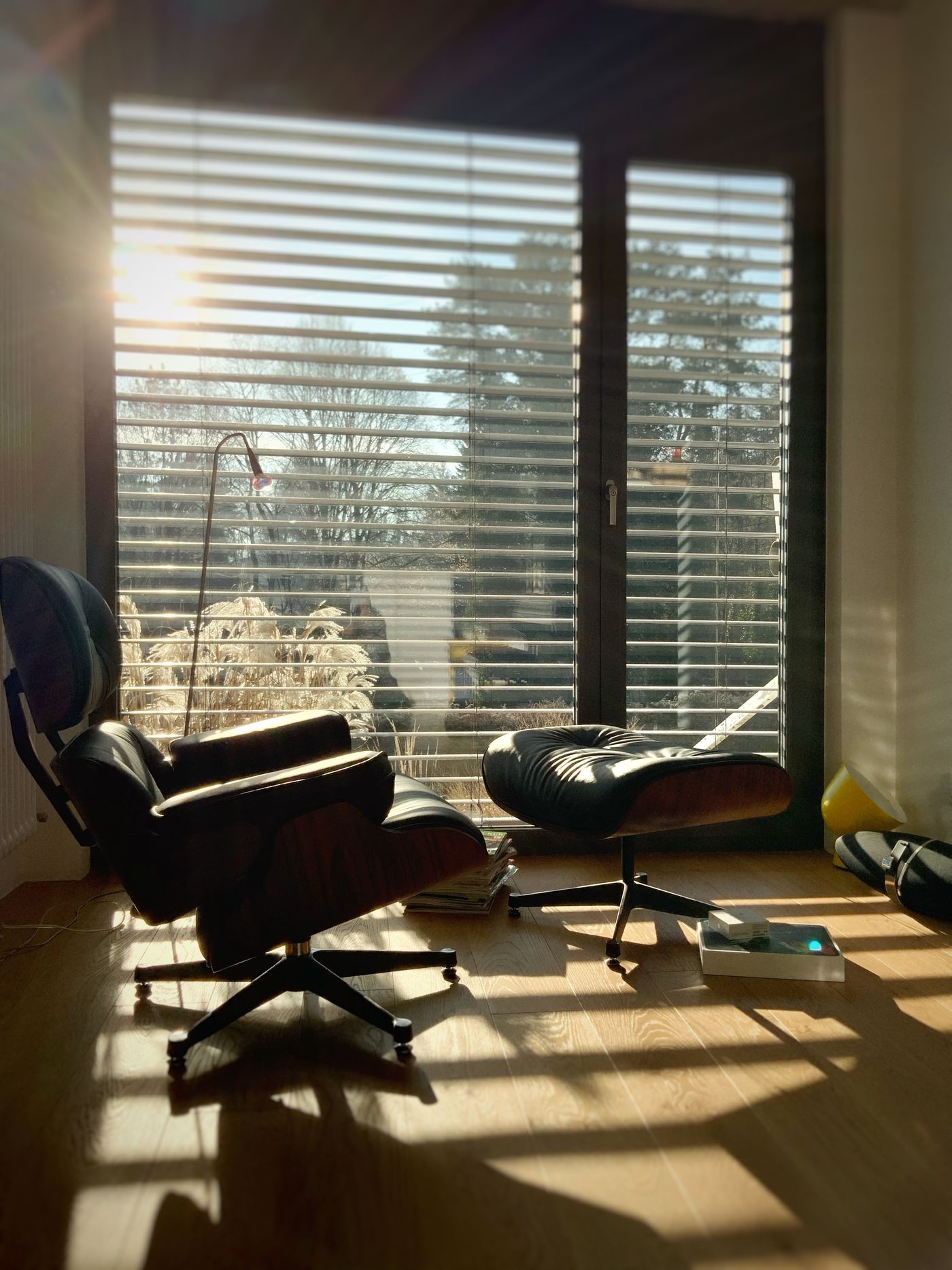 Eames Lounge Chairs