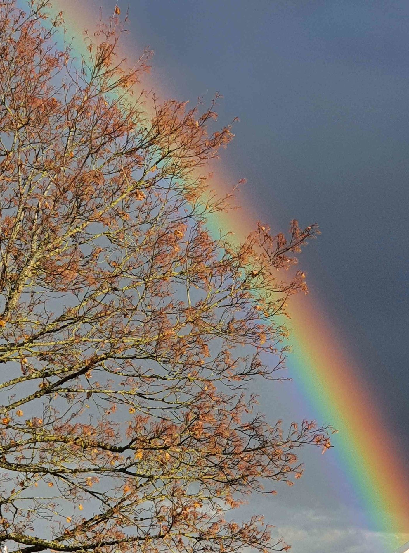 Herbstlaub