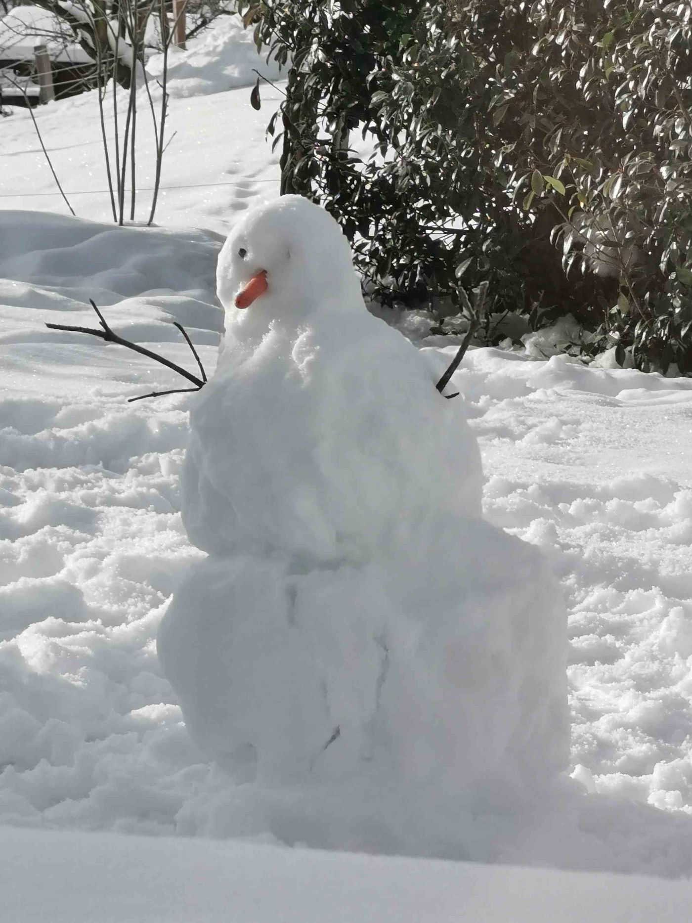 Schneemann