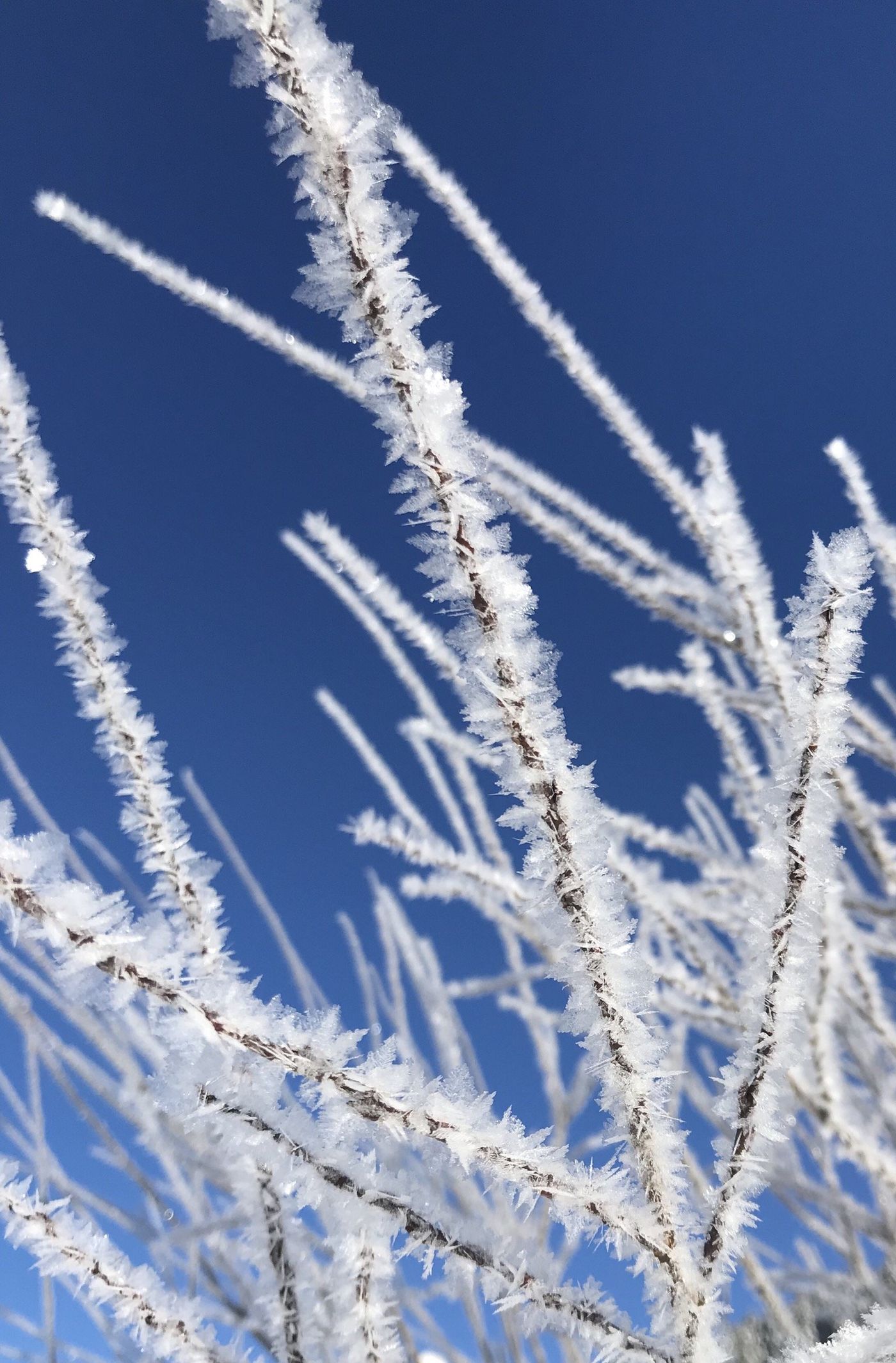 Winterspaziergang