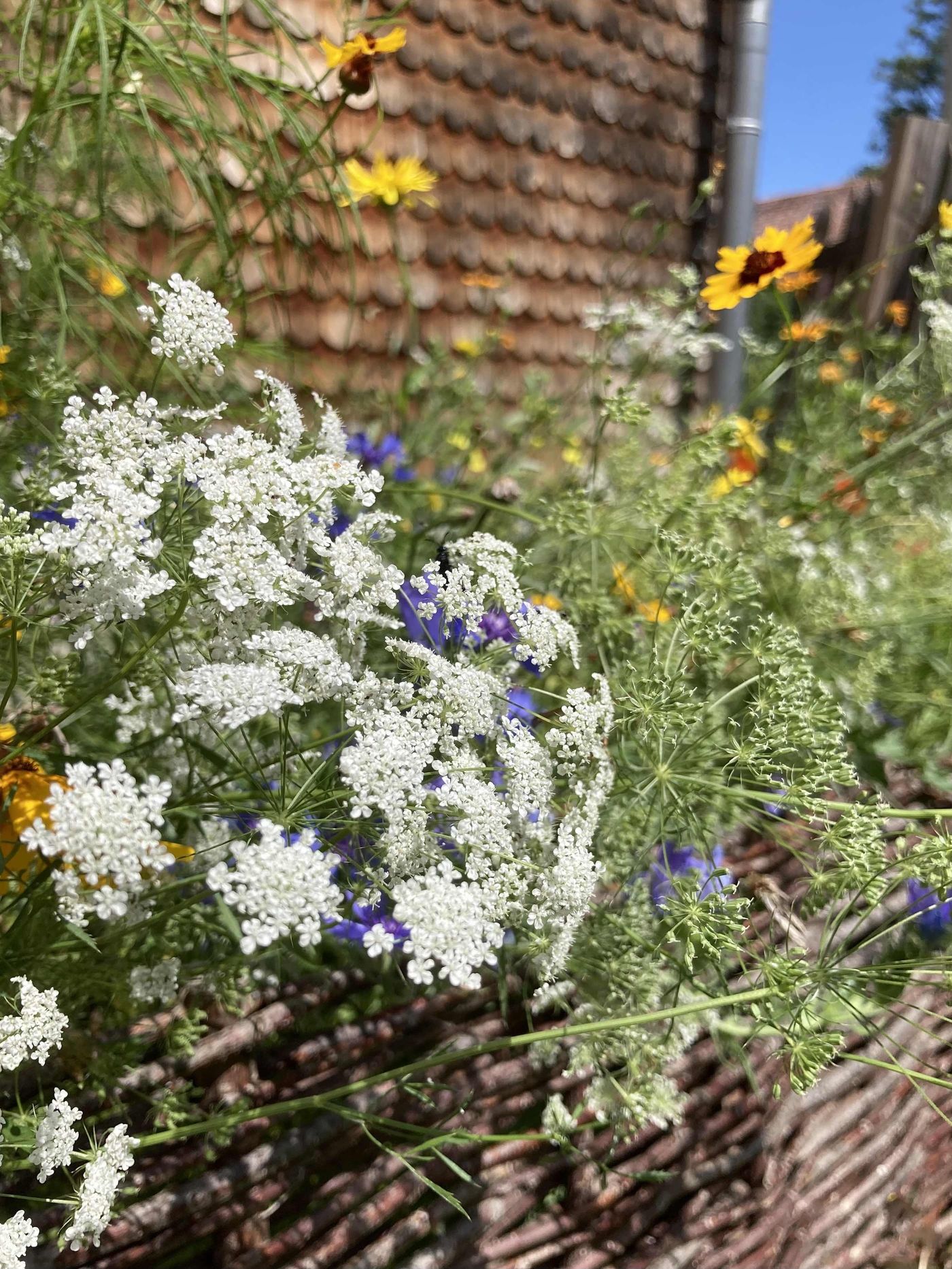 Sommergarten