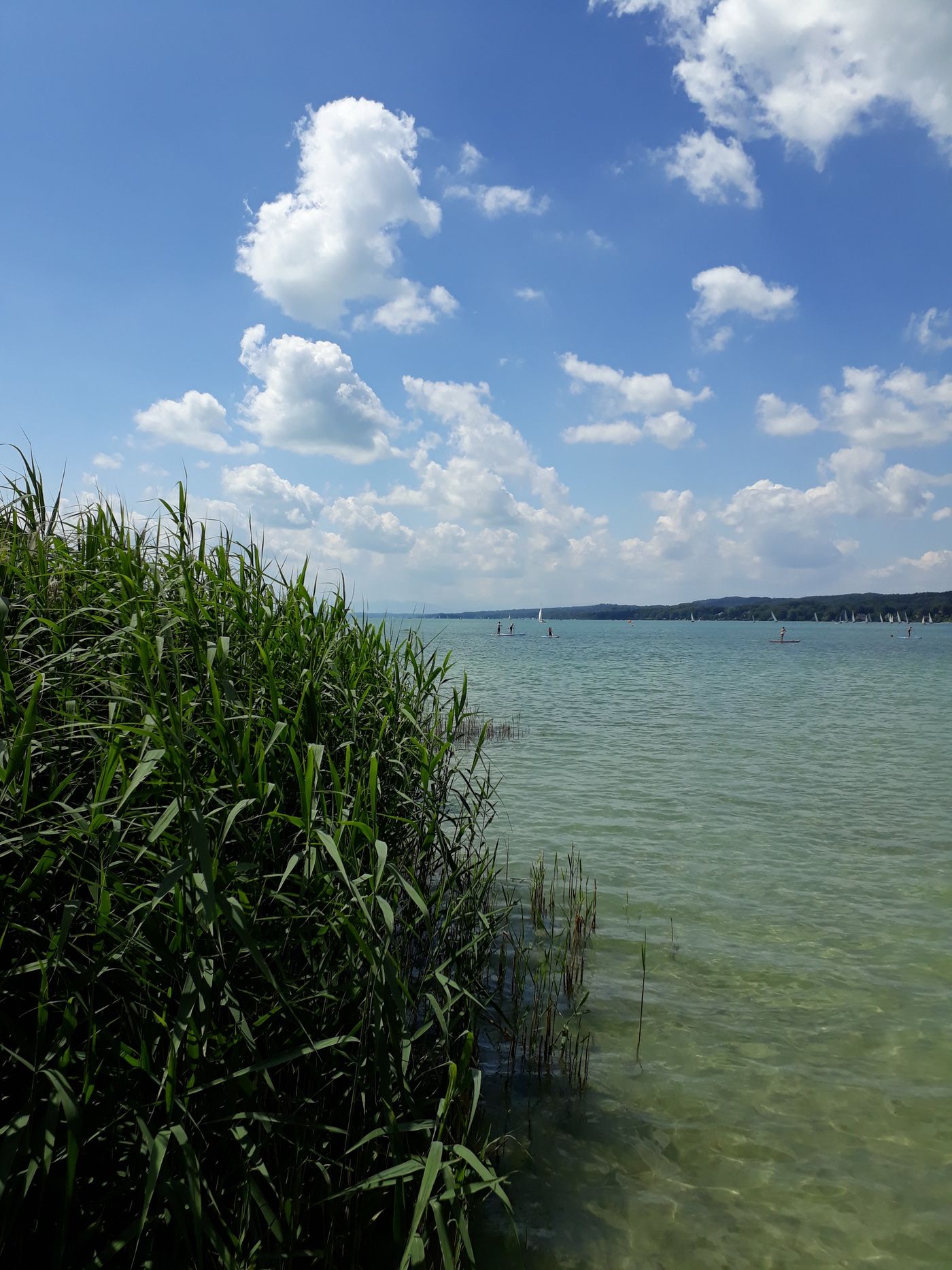 Starnberger See