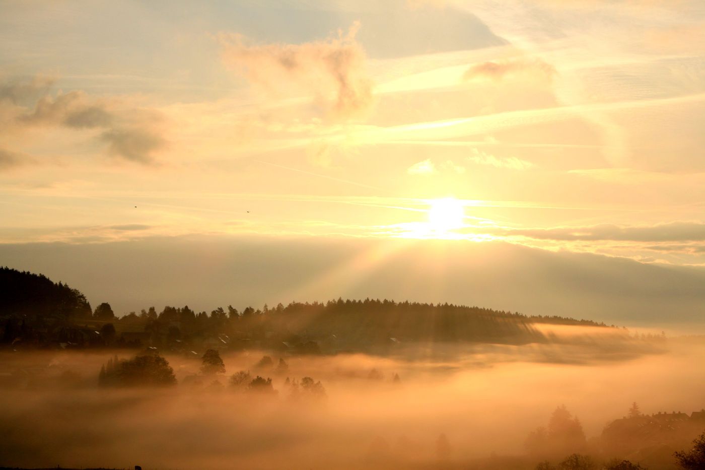 Schwarzwald