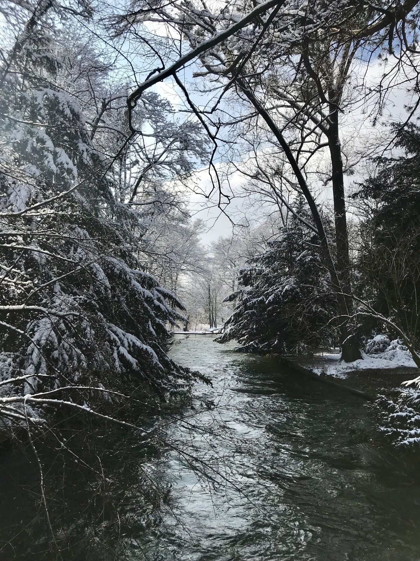 Englischer Garten