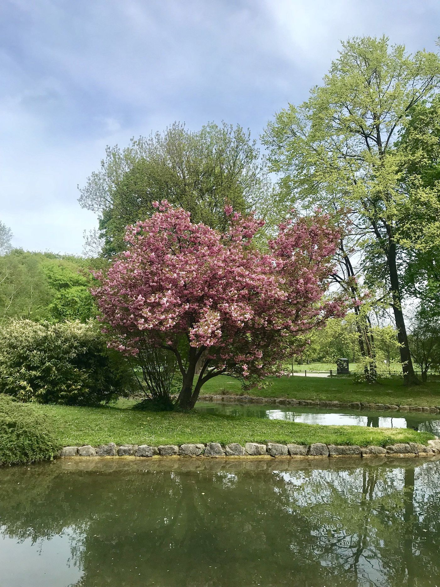 Englischer Garten