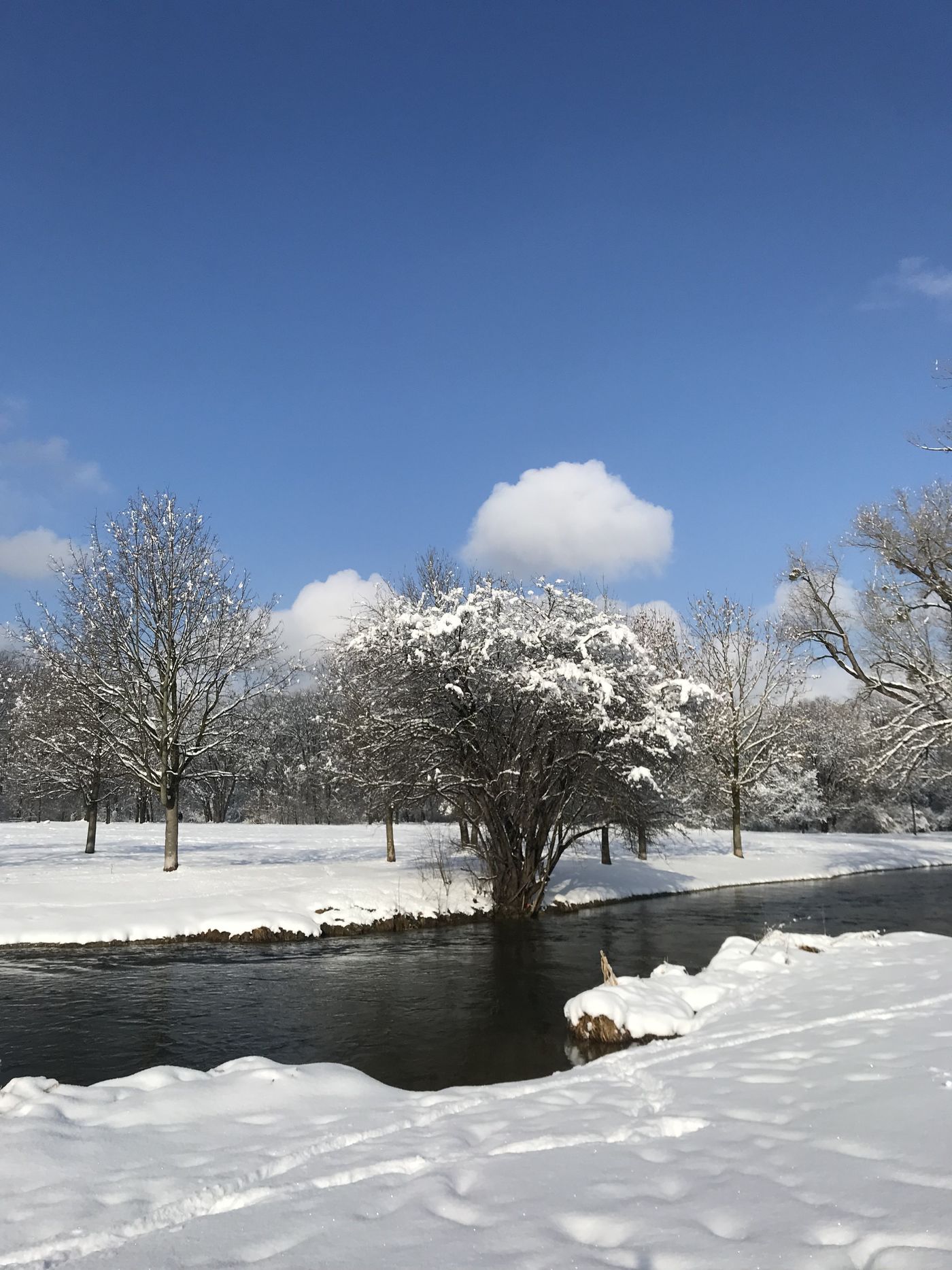 Englischer Garten