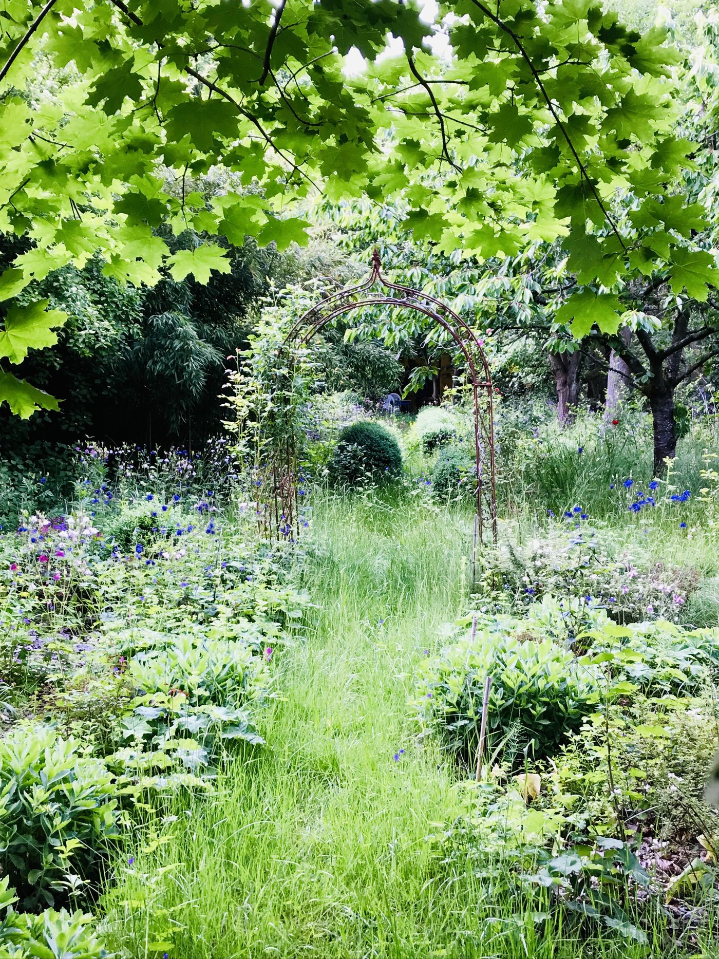 Kleiner Garten