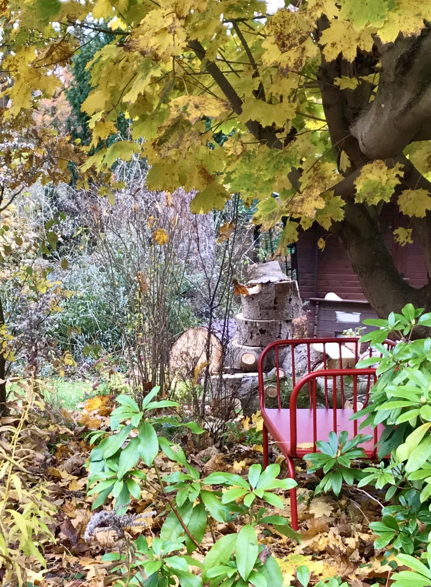 Herbstgarten