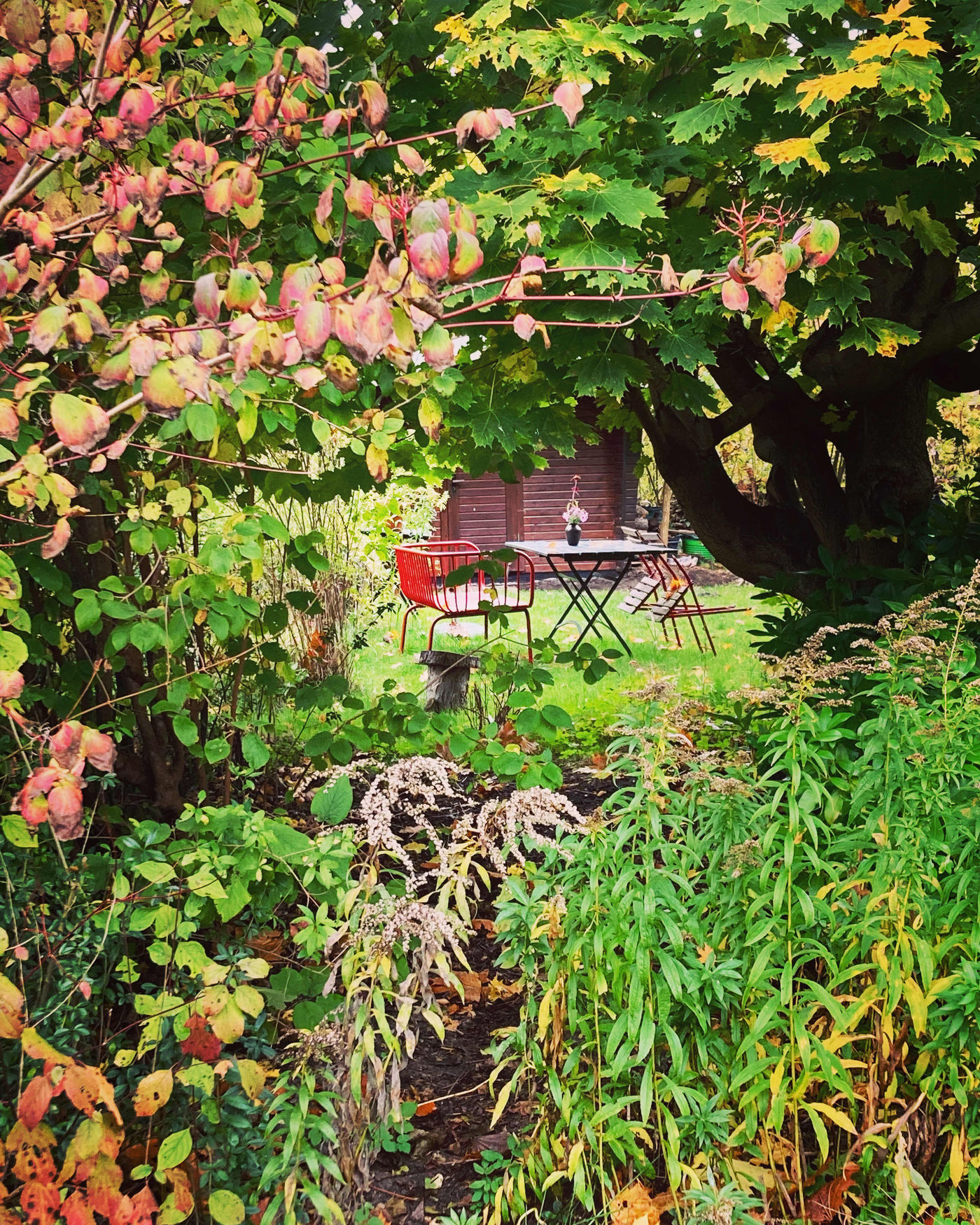 Herbstgarten