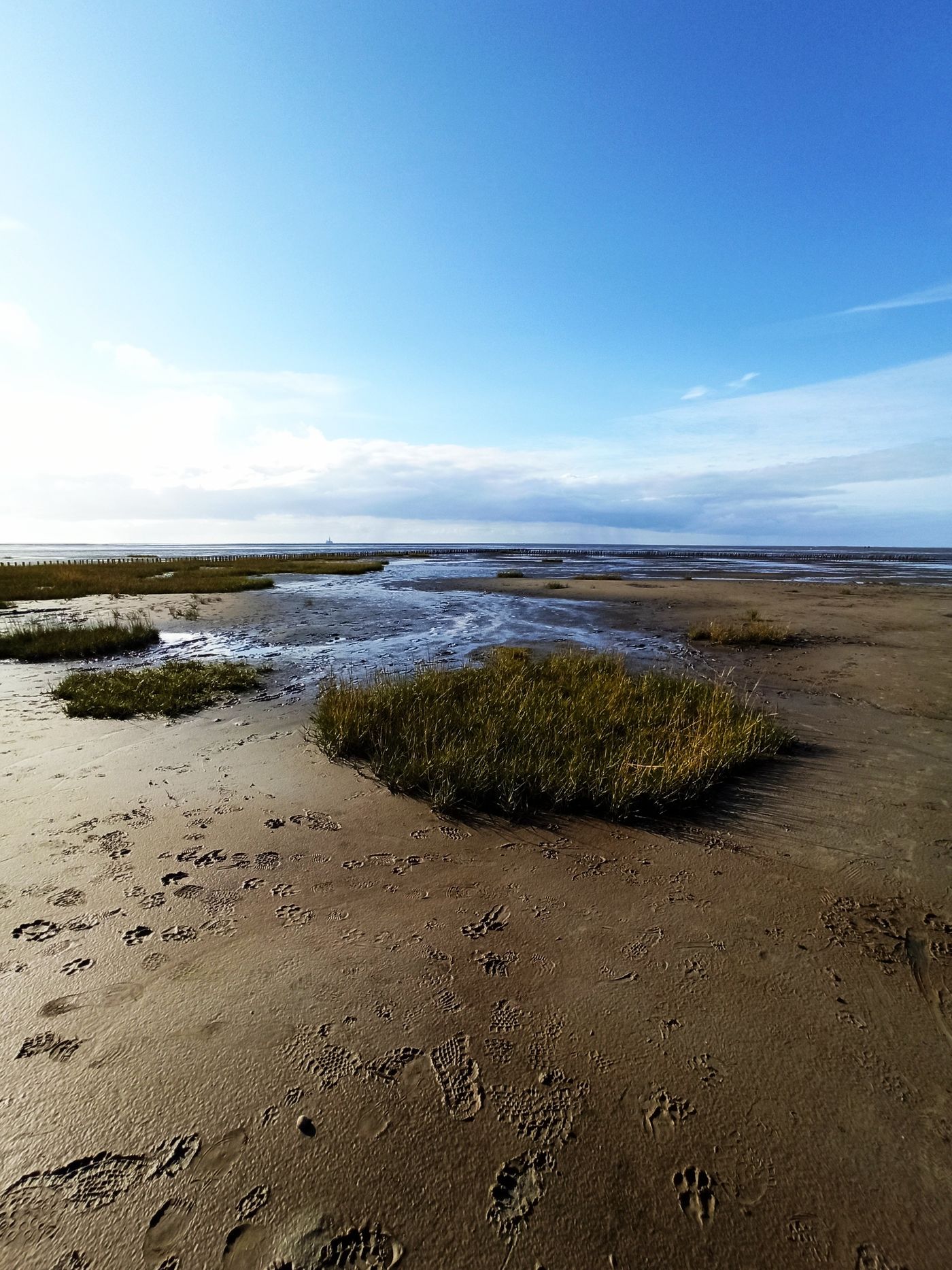 Wattenmeer