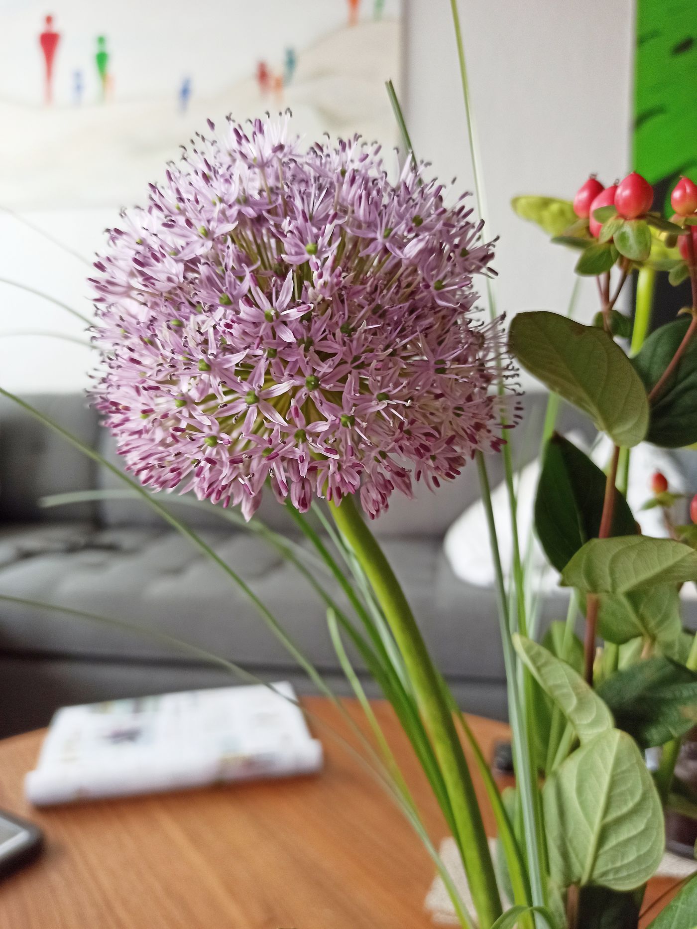 Allium