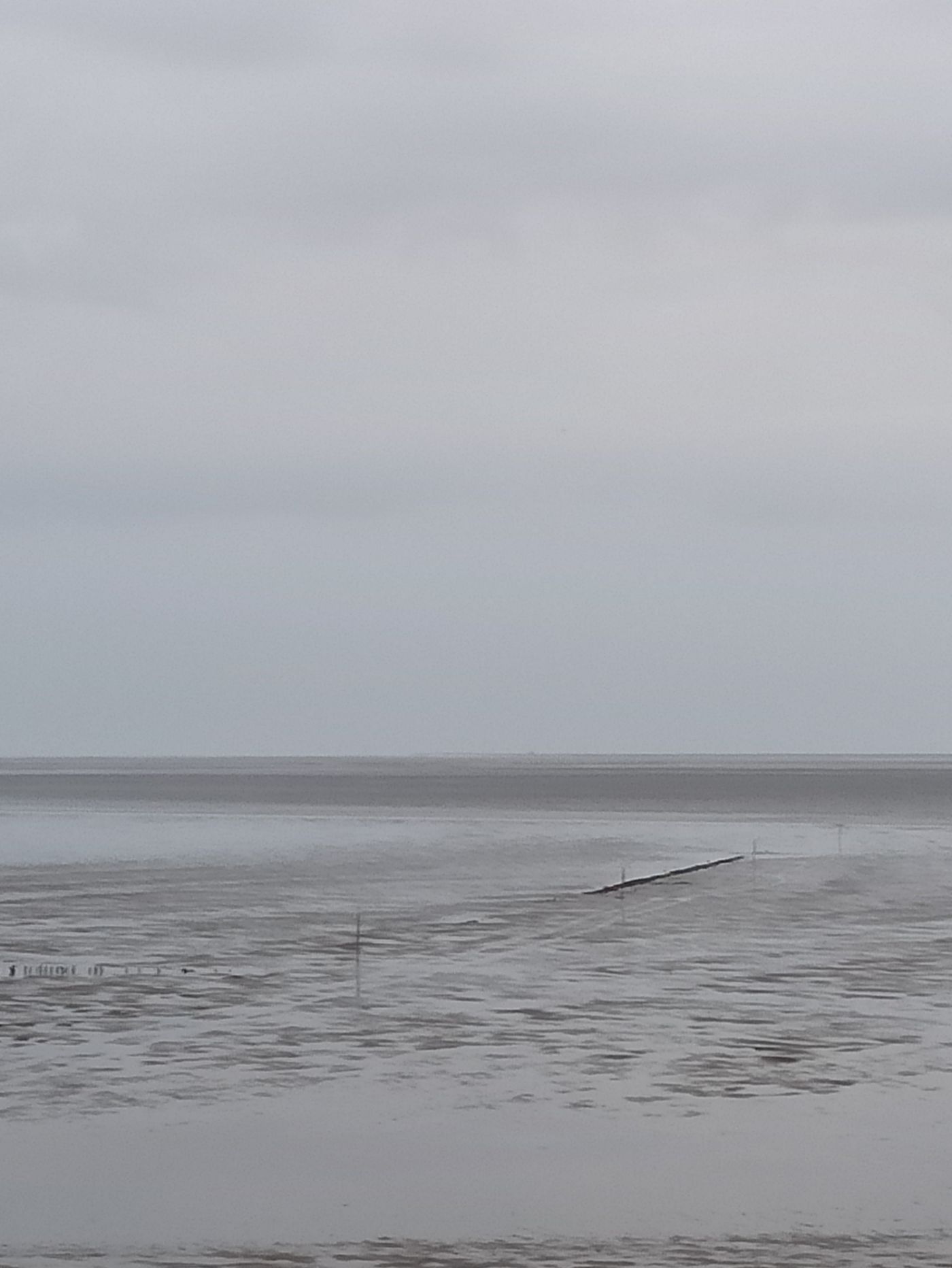 Wattenmeer