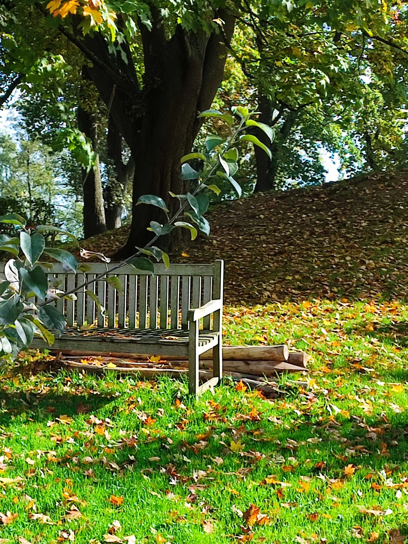 Herbstgarten