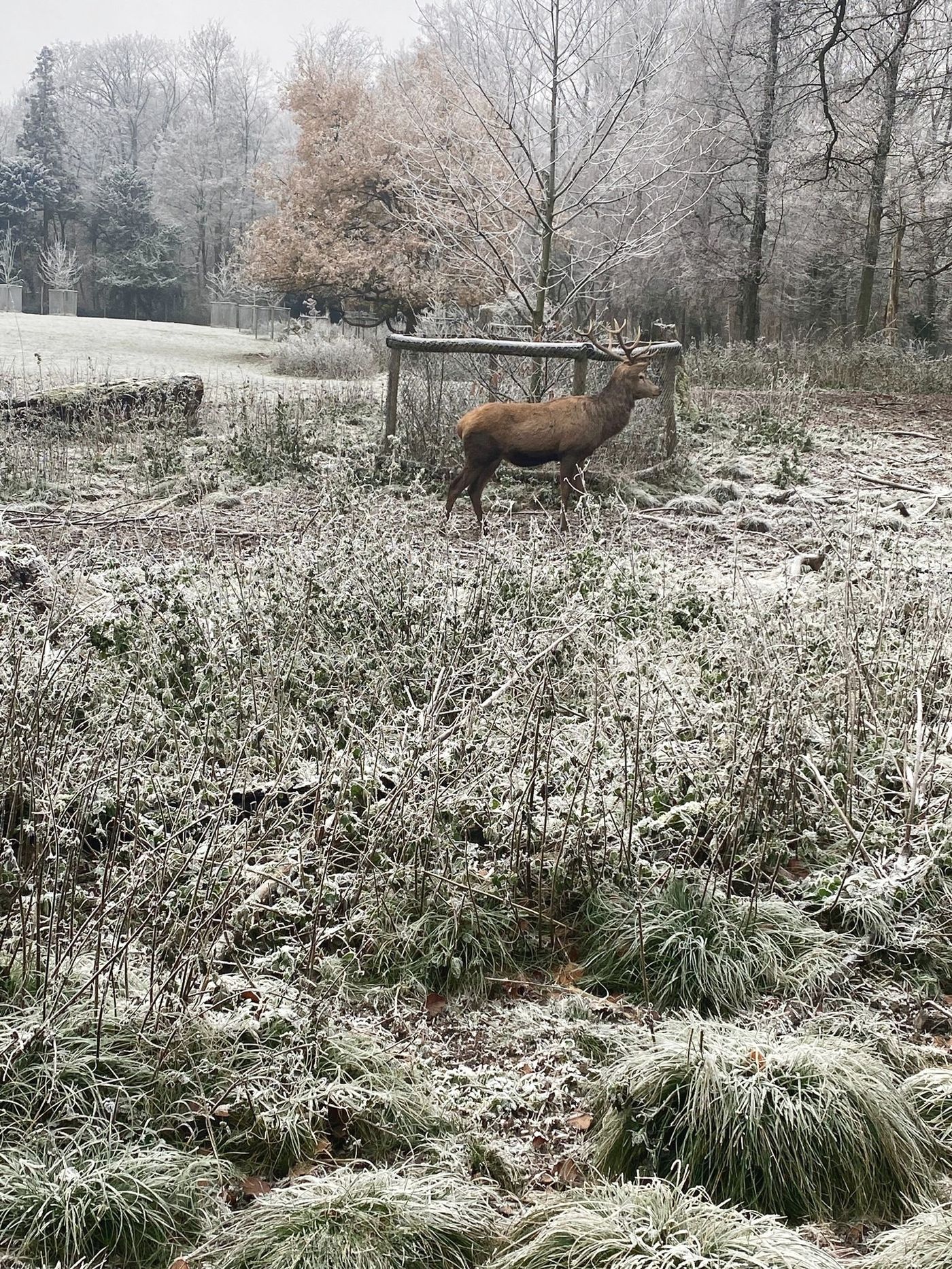 Winterspaziergang