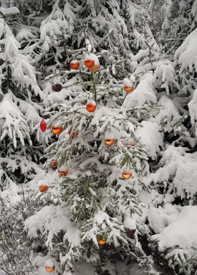 Christbaumschmuck basteln