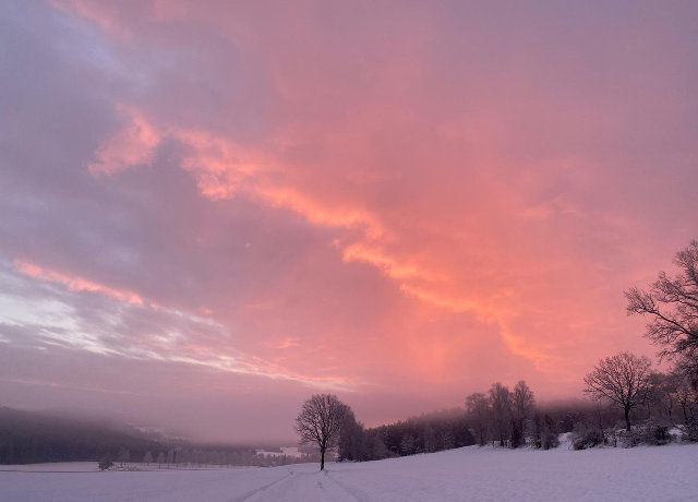 Wintermorgen